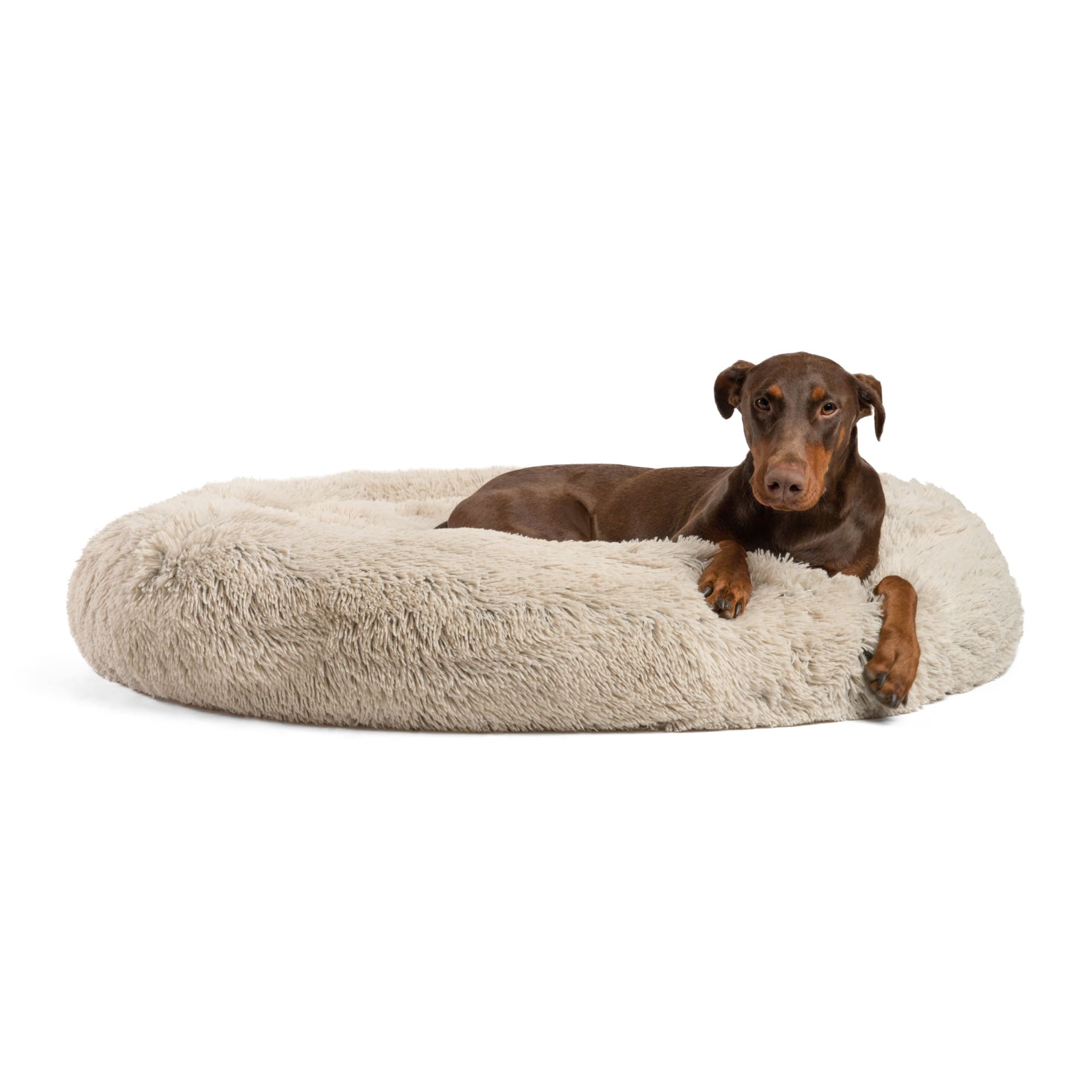 Calming Dog Bed | Petco