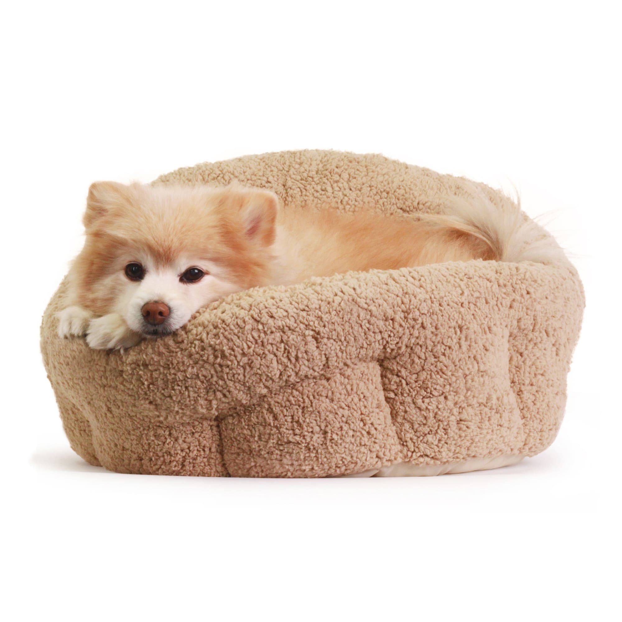Best Friends by Sheri Deep Dish™ Sherpa Cuddler Pet Dog Bed