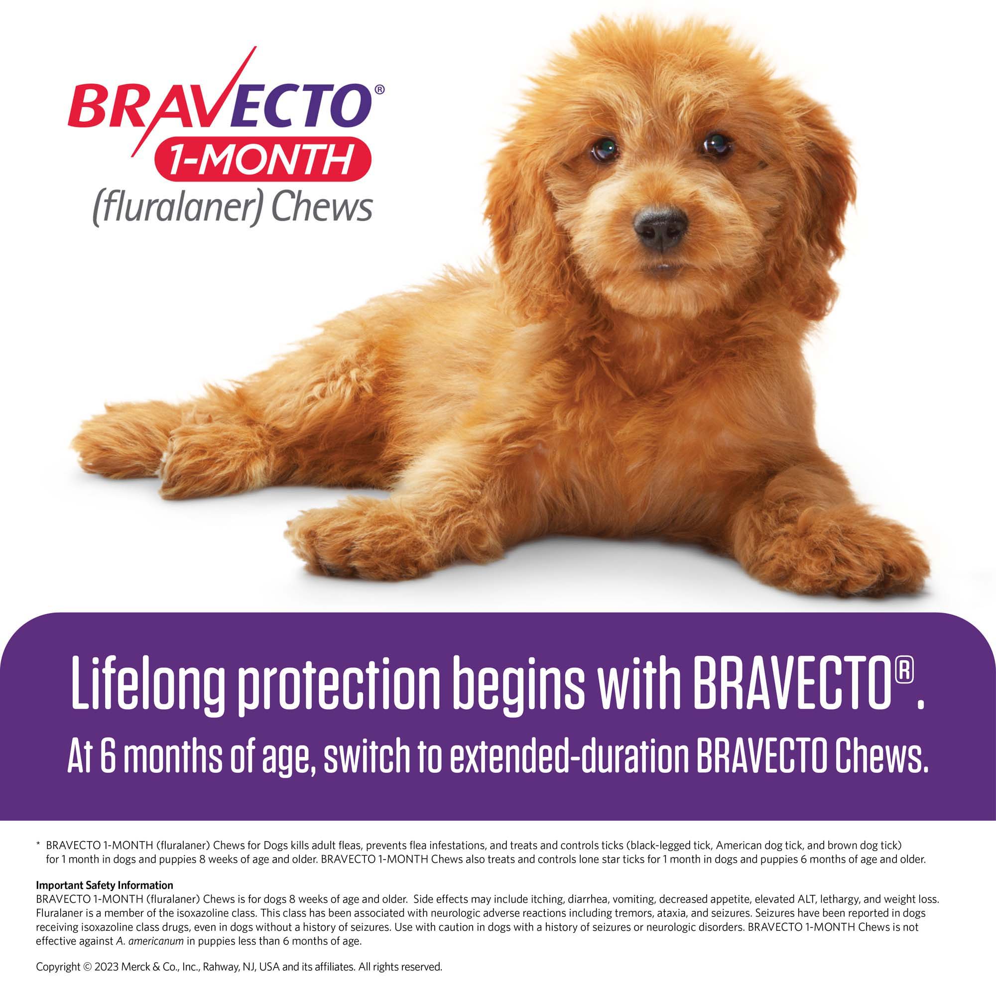 Buy Bravecto Tick & Flea Chewable Tabs For Dogs Weighing 4.5-10 Kg -  Same-Day Shipping - Vetco Store