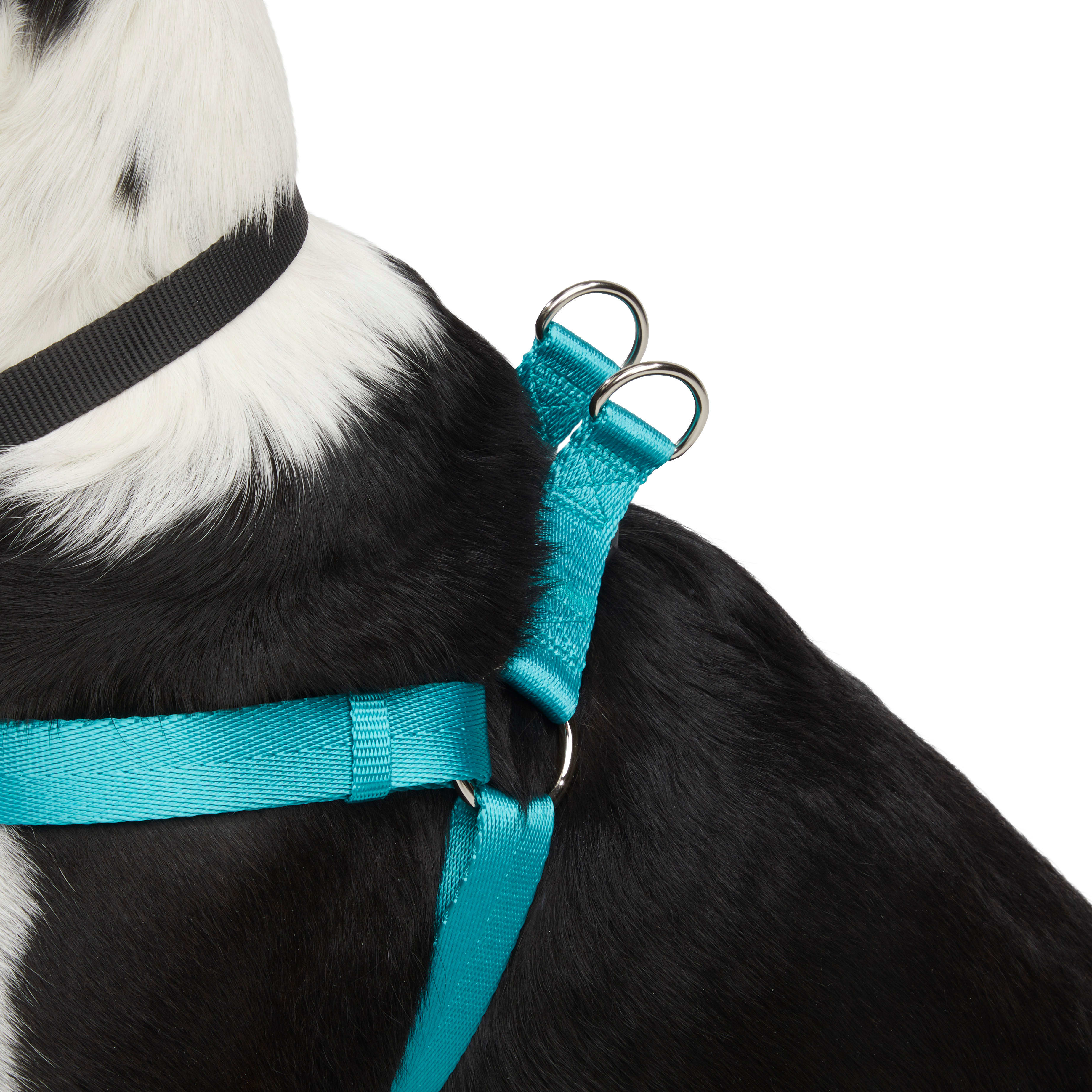 Outward Hound Boulder Adventure Adjustable Dog Harness with Pockets,  Turquoise, Small