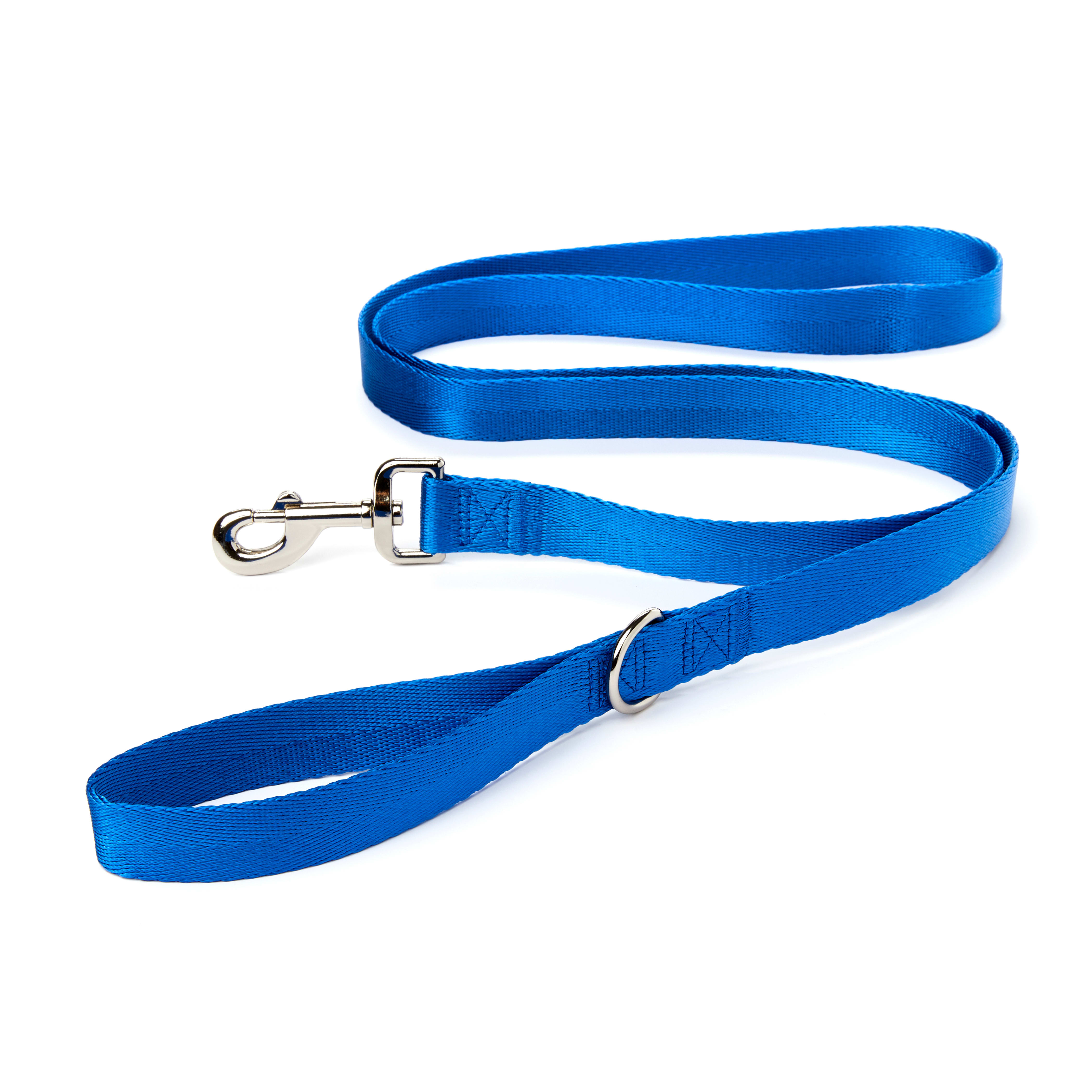 YOULY The Classic Blue Webbed Nylon Dog Leash, 6 Foot | Petco