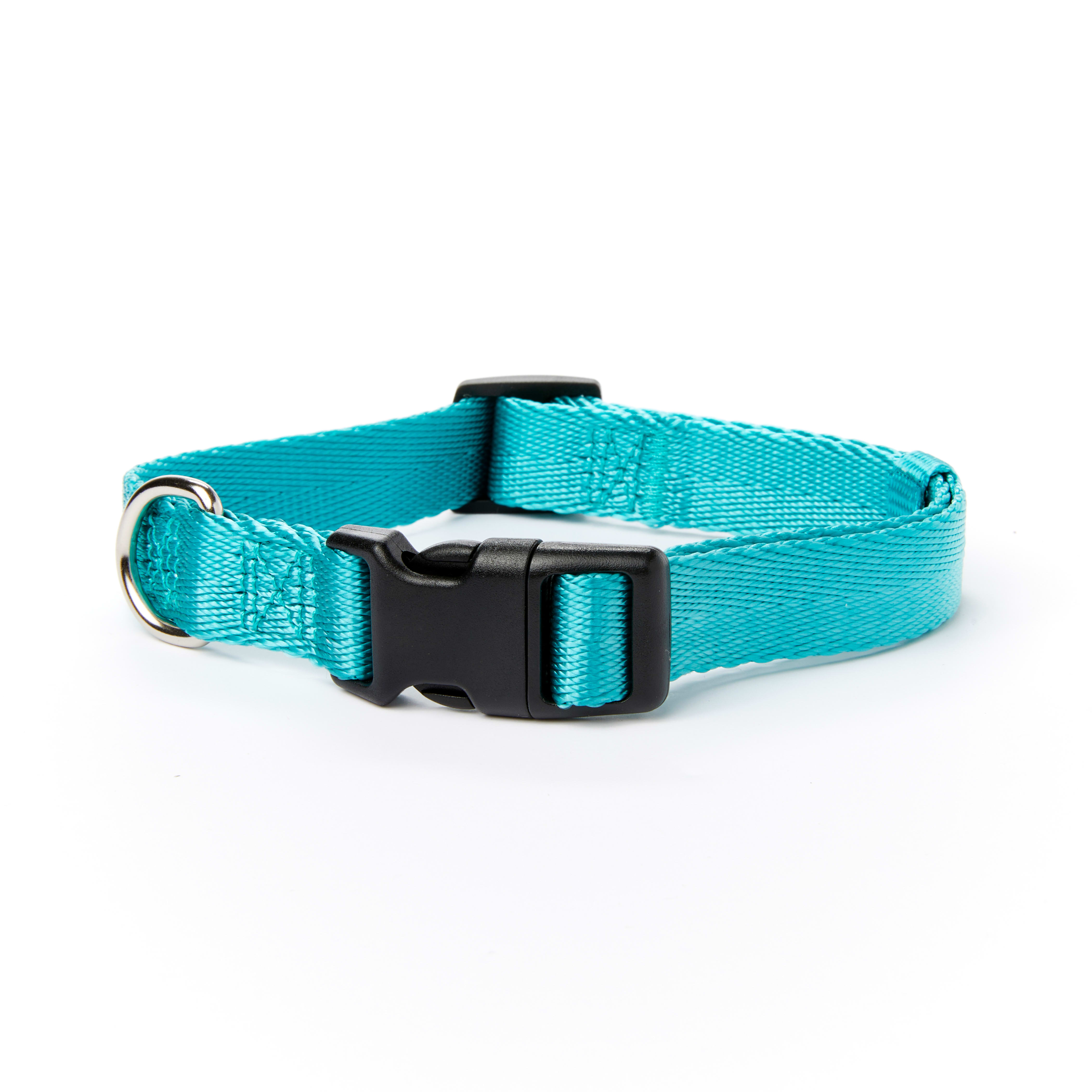 YOULY The Classic Webbed Nylon Dog Collar, Turquoise, Medium | Petco