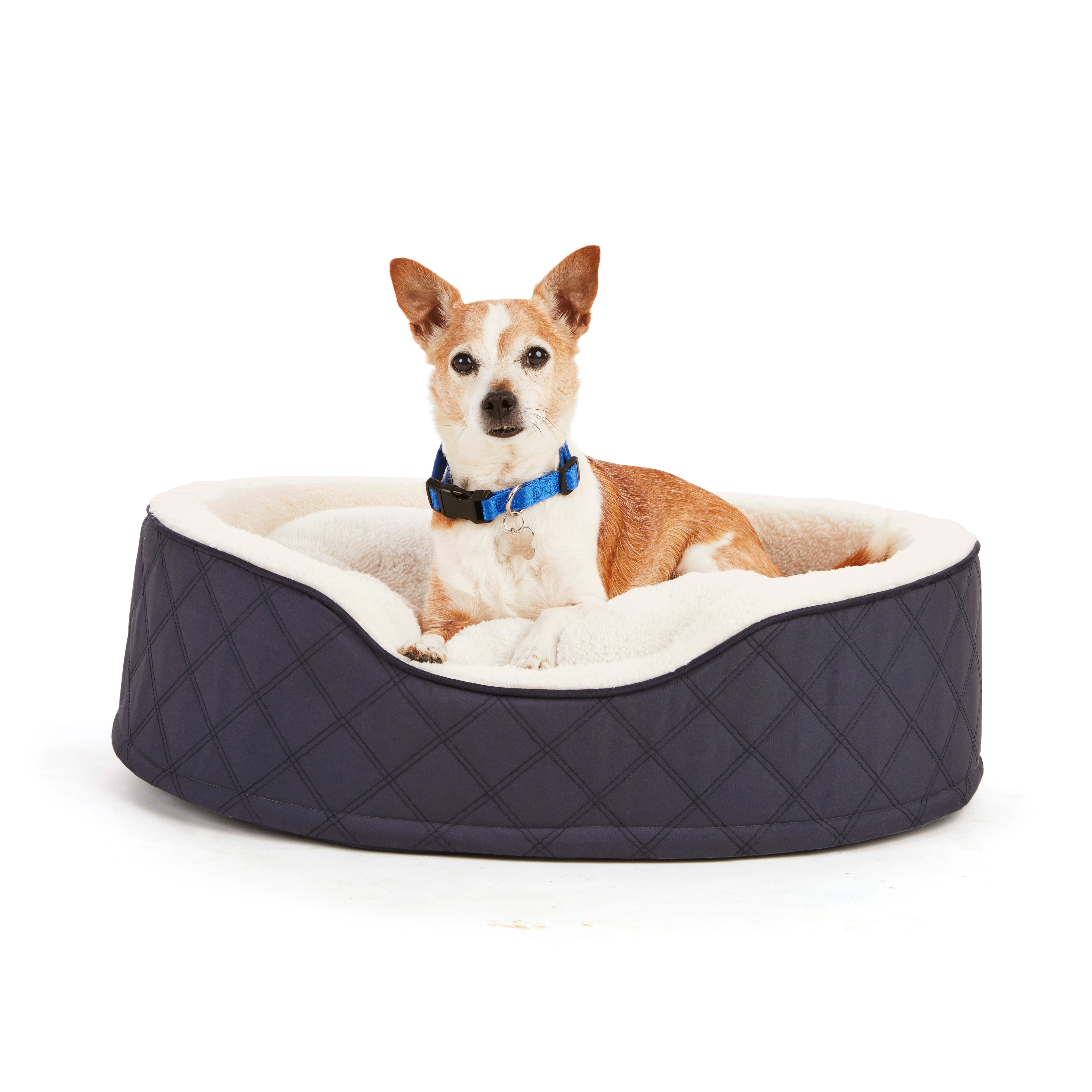 Harmony orthopedic dog bed sale