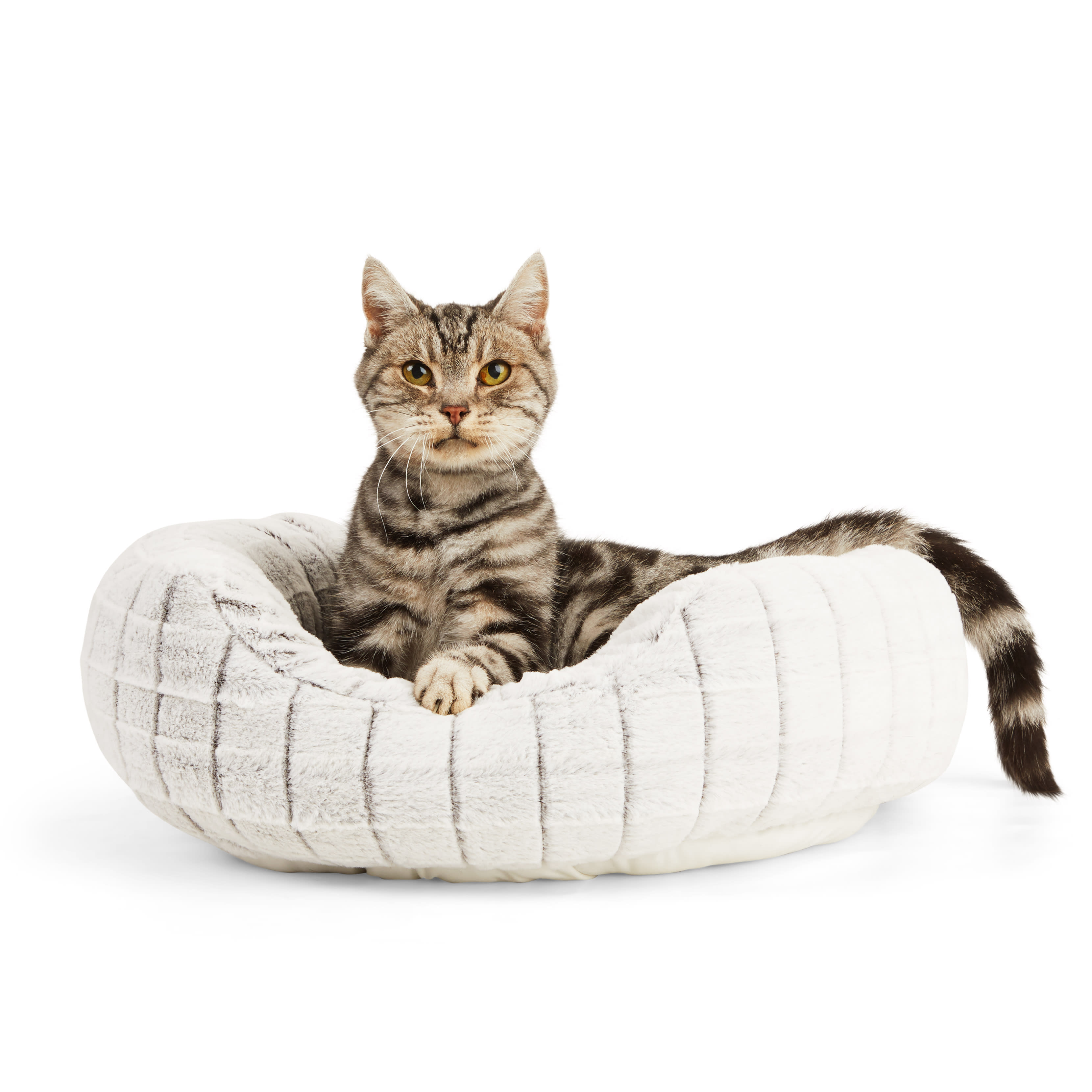 Cat beds petco sale