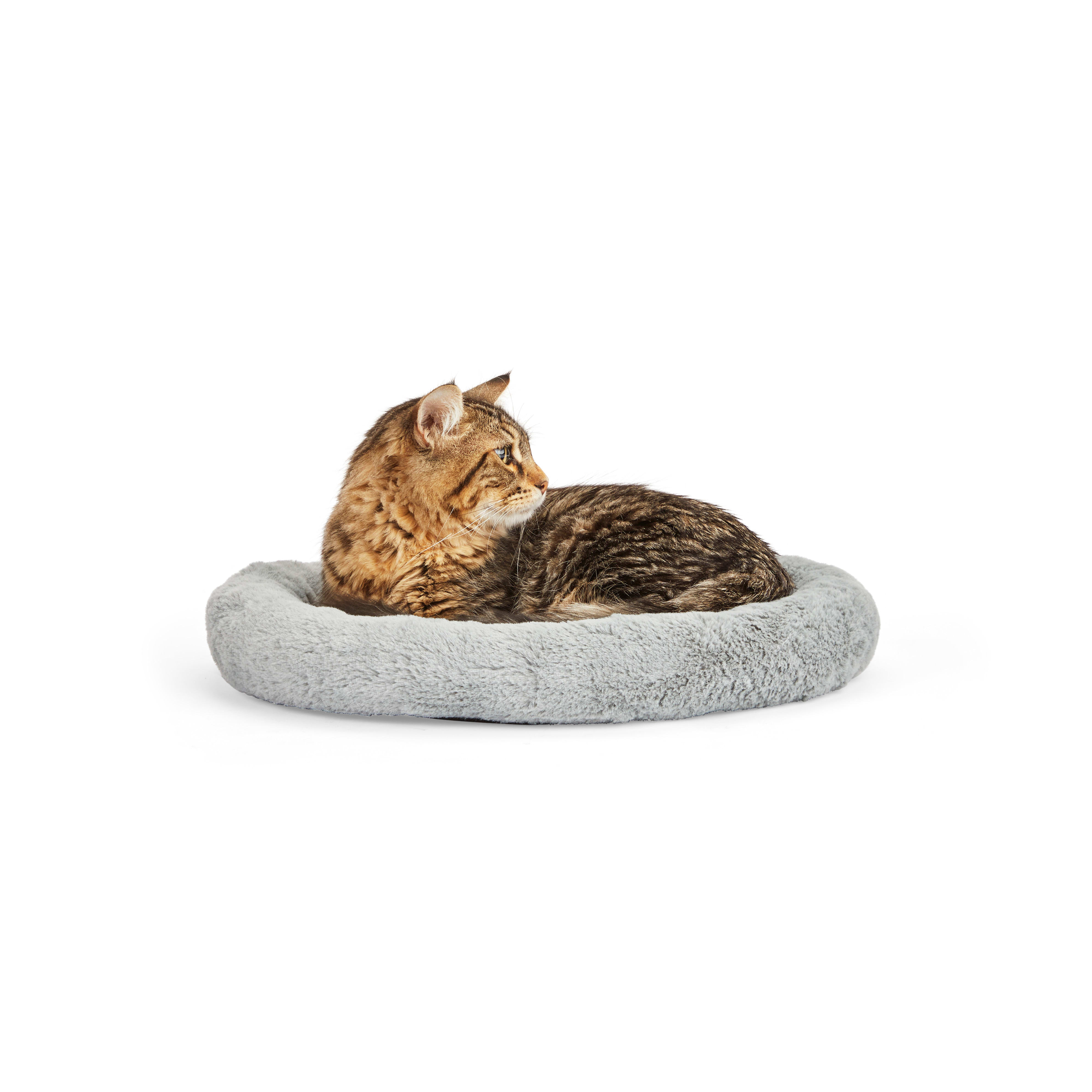 EveryYay Gray Snooze Fest Oval Cat Bed, 17" L X 14" W X 2" H Petco