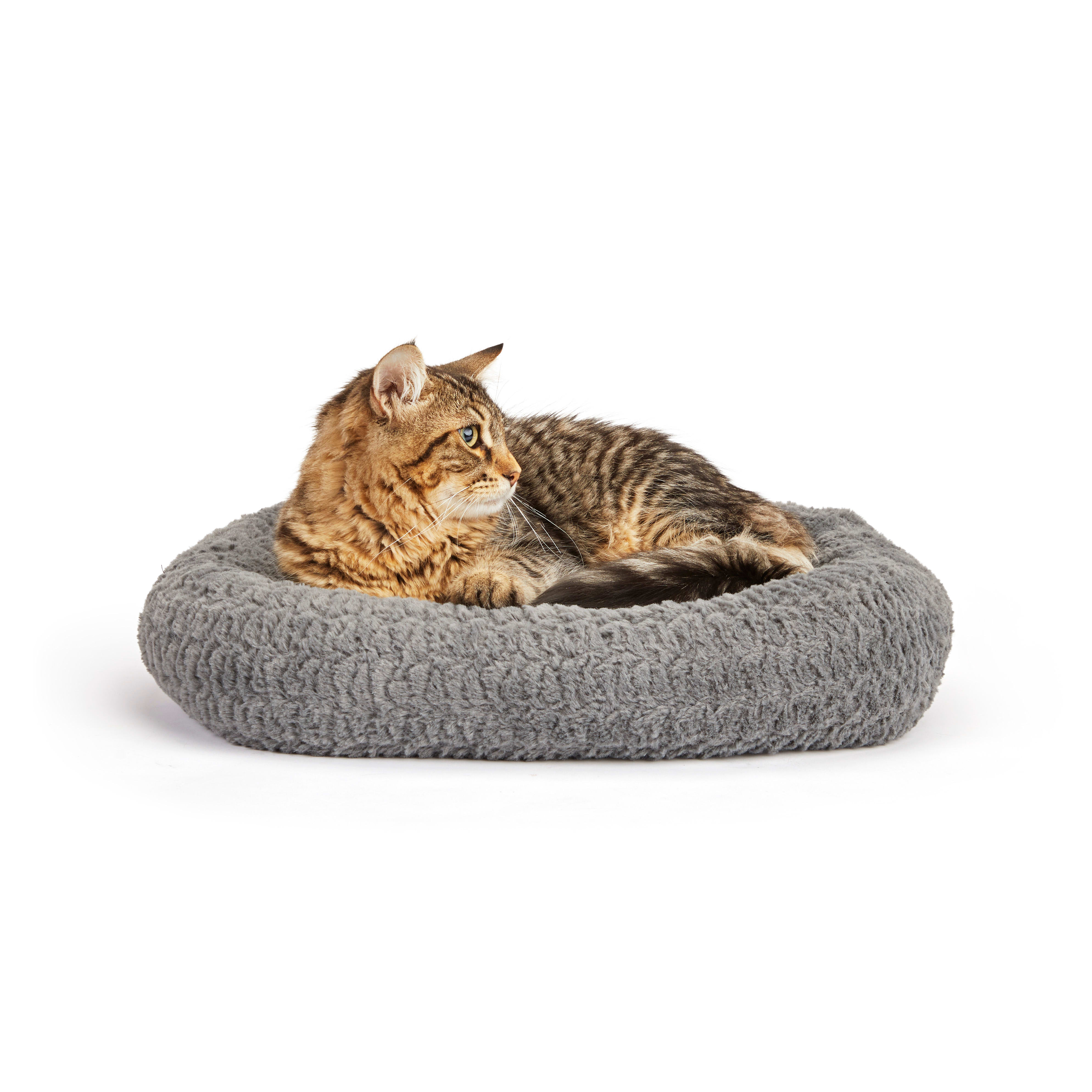 Best cat bed shop for older cats