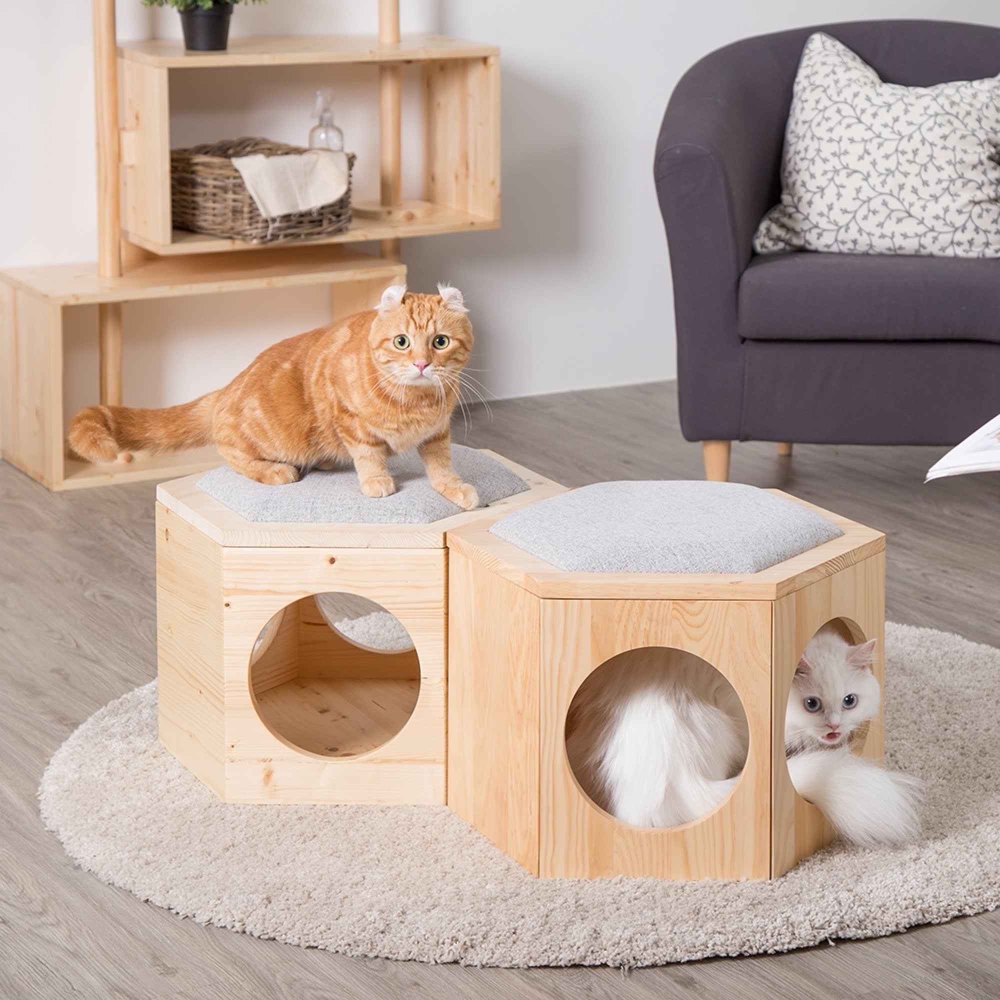 MYZOO AndMakers BusyCat Chair Scratcher