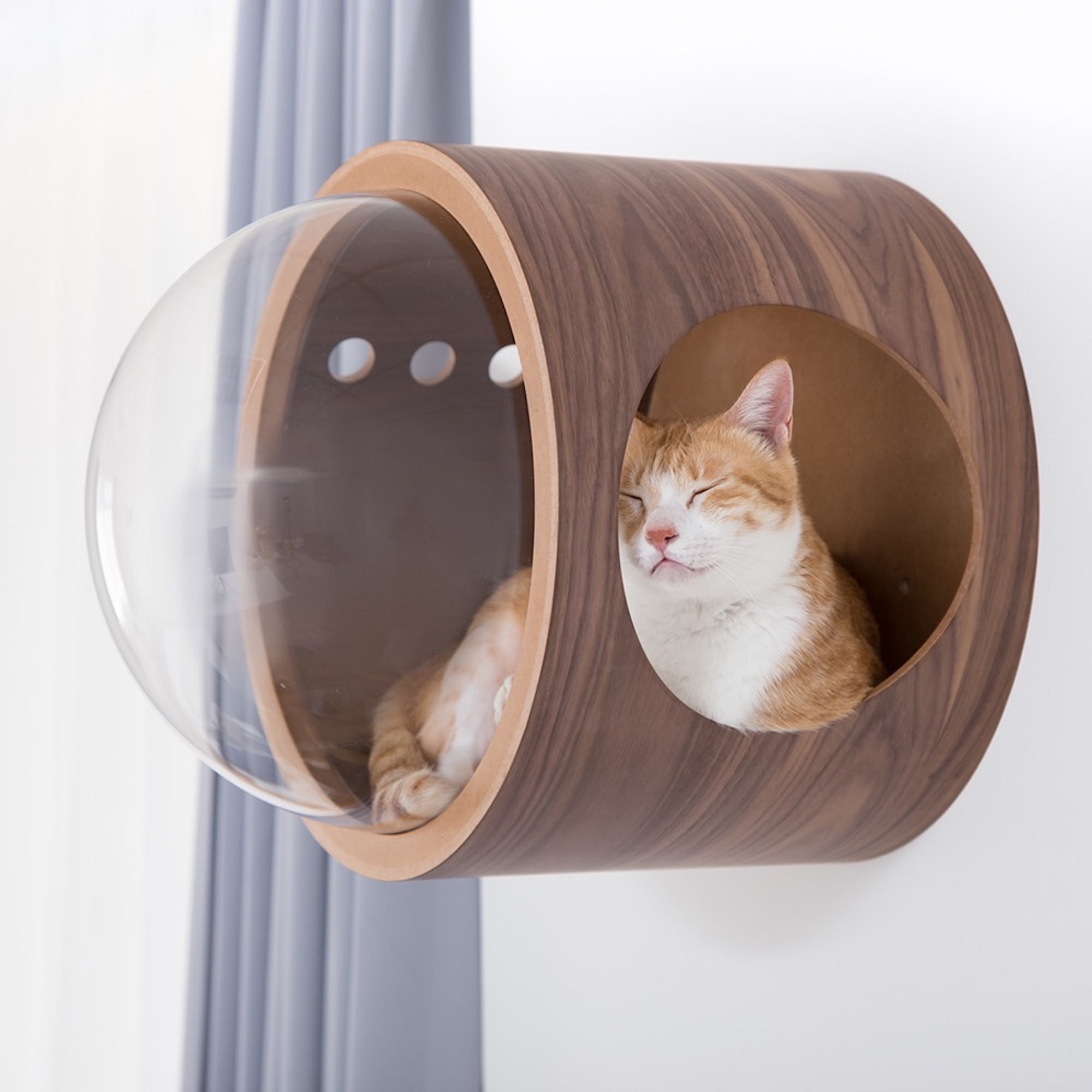 MYZOO AndMakers Spaceship Walnut Gamma Wall Mounted Cat Bed On the Left