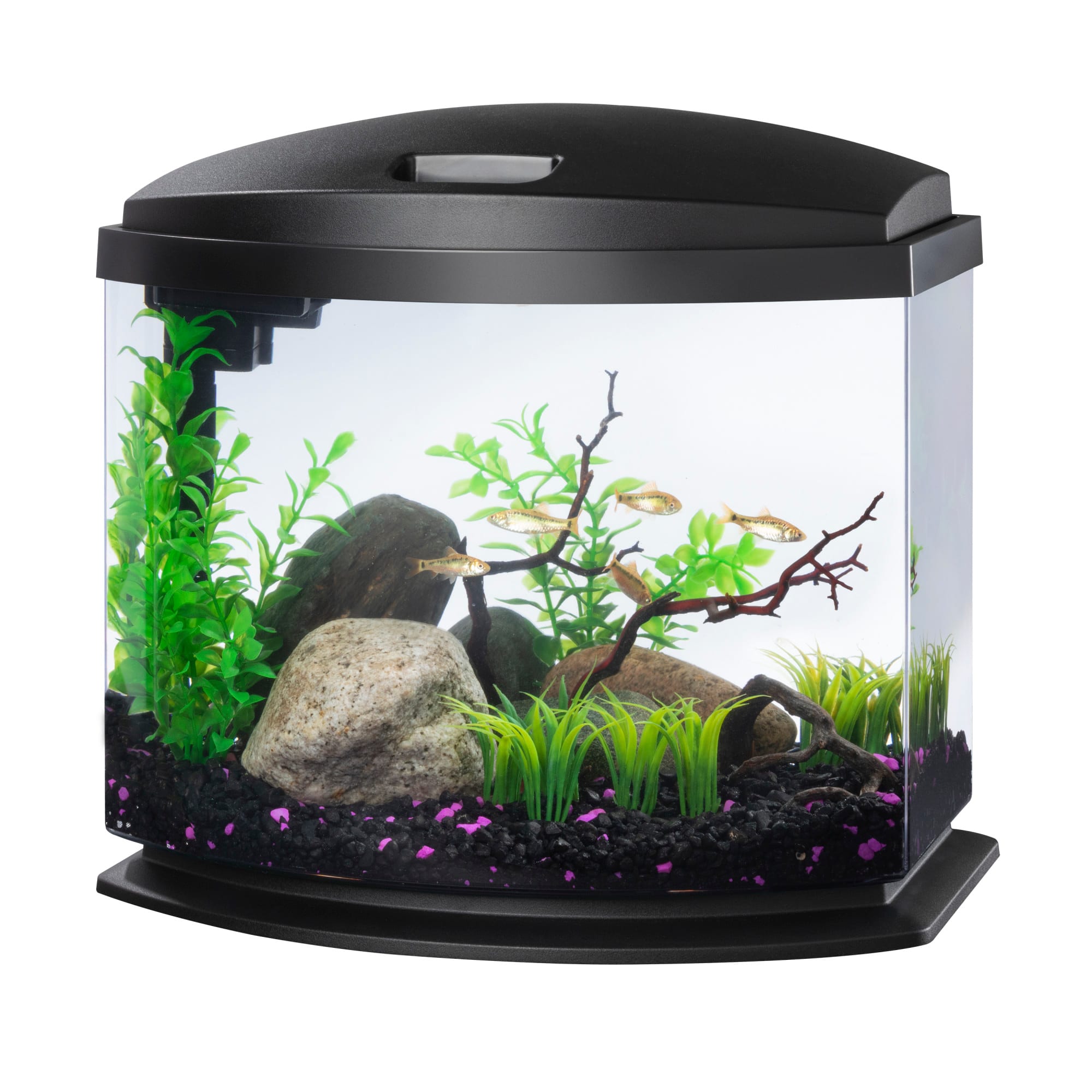 Aqueon Black 5 Gallon LED MiniBow SmartClean Kit