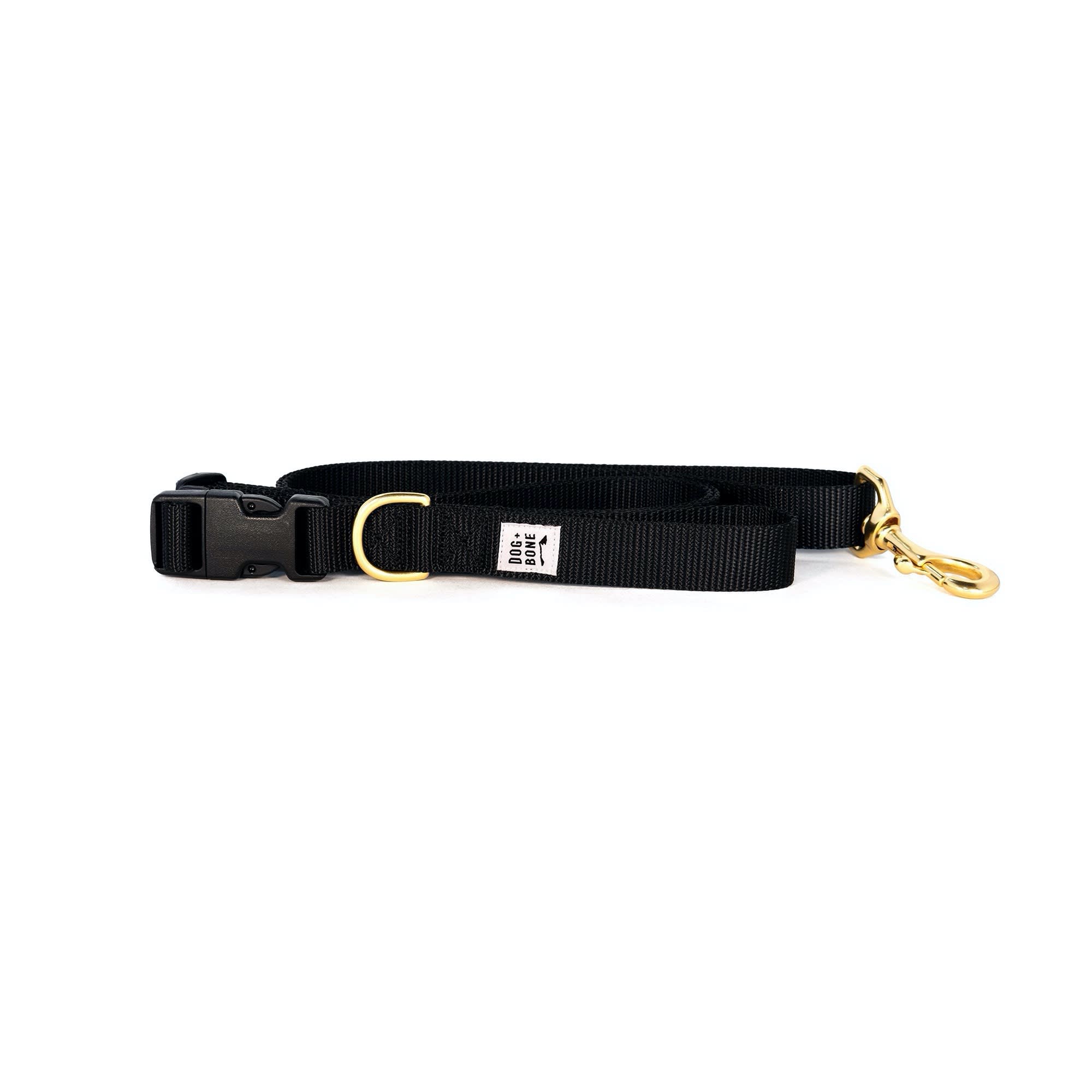 Hands free 2024 leash petco