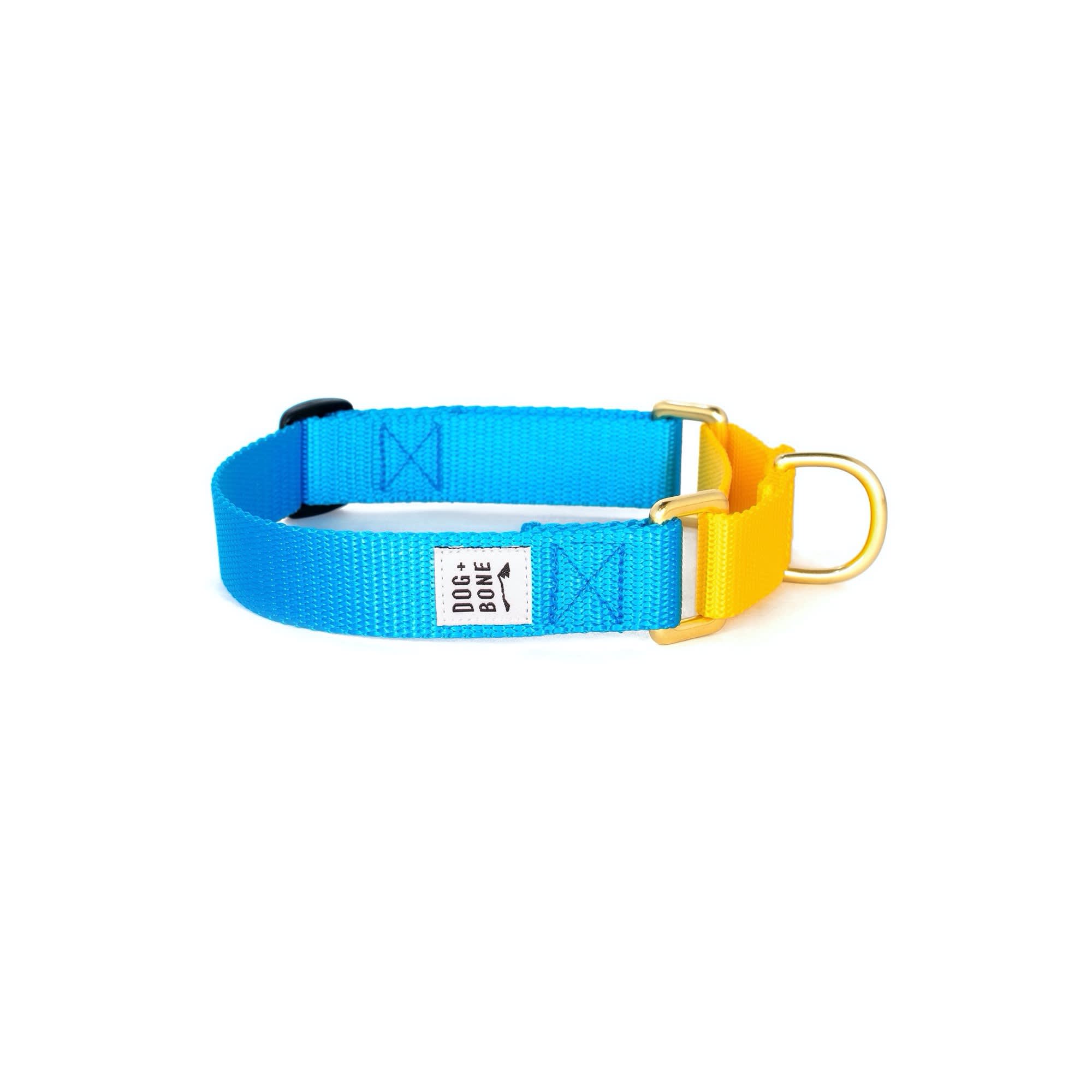 P5096211 Dog + Bone Blue & Yellow Martingale Dog Collar sku P5096211