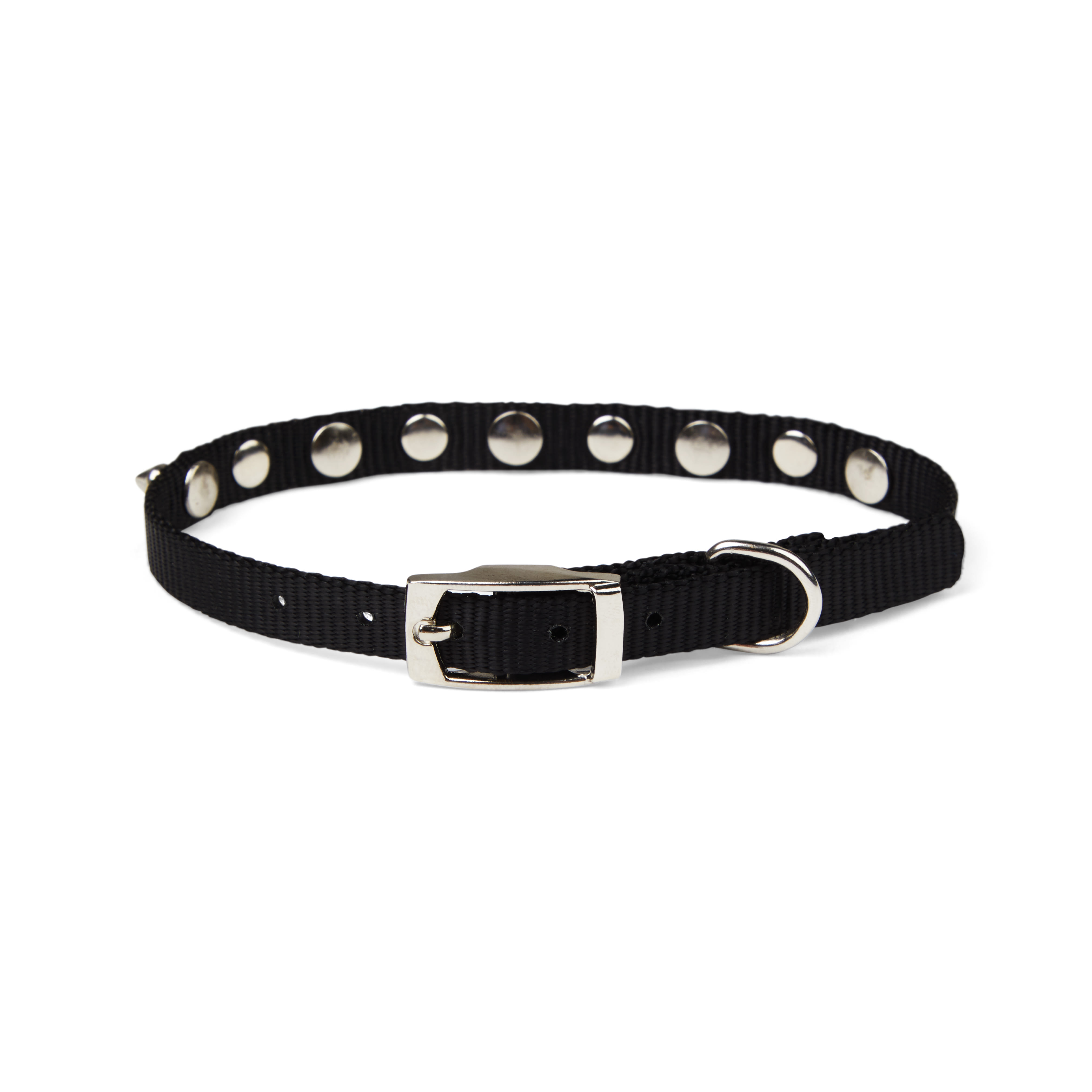 Petco hotsell spiked collar