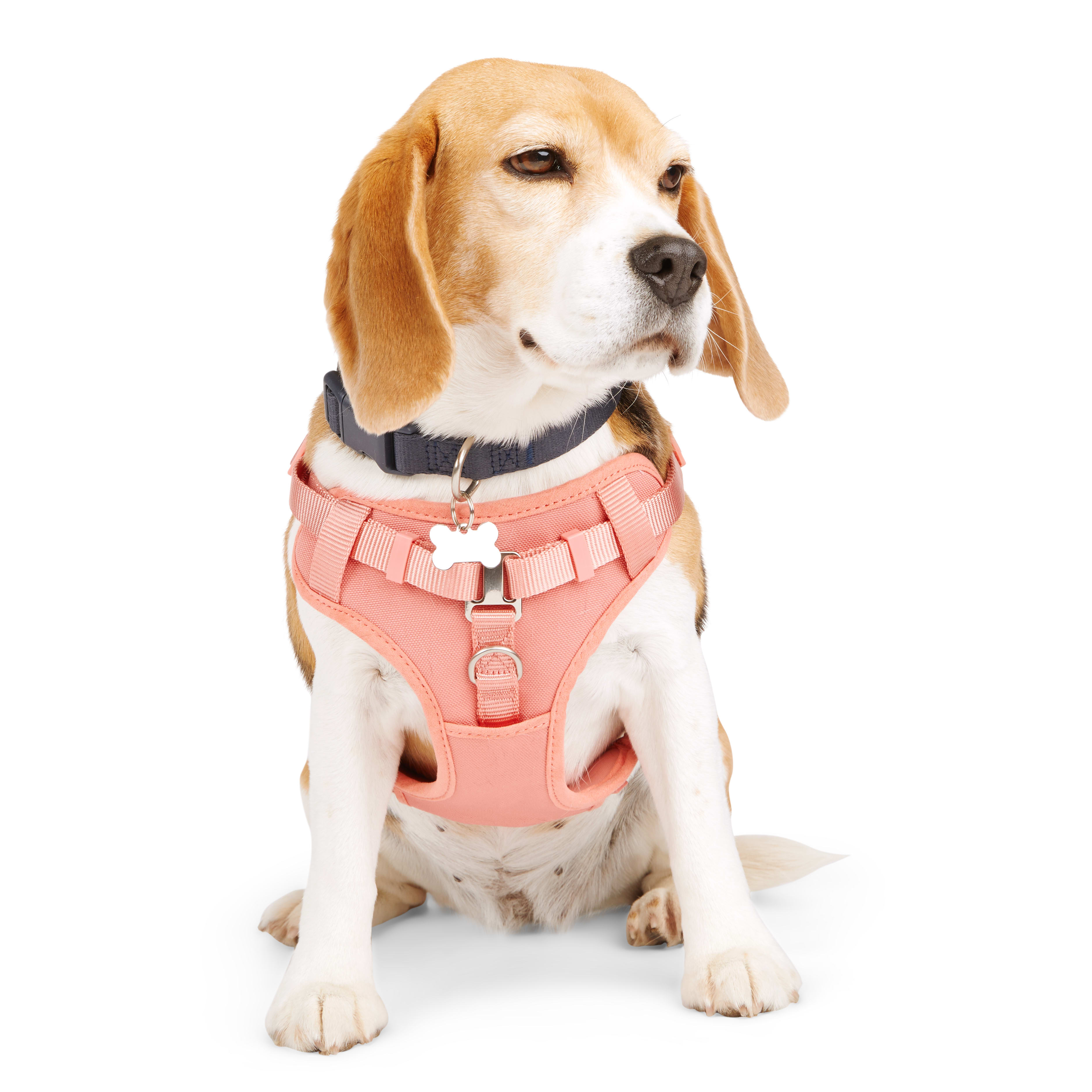 Petco easy step in harness sale