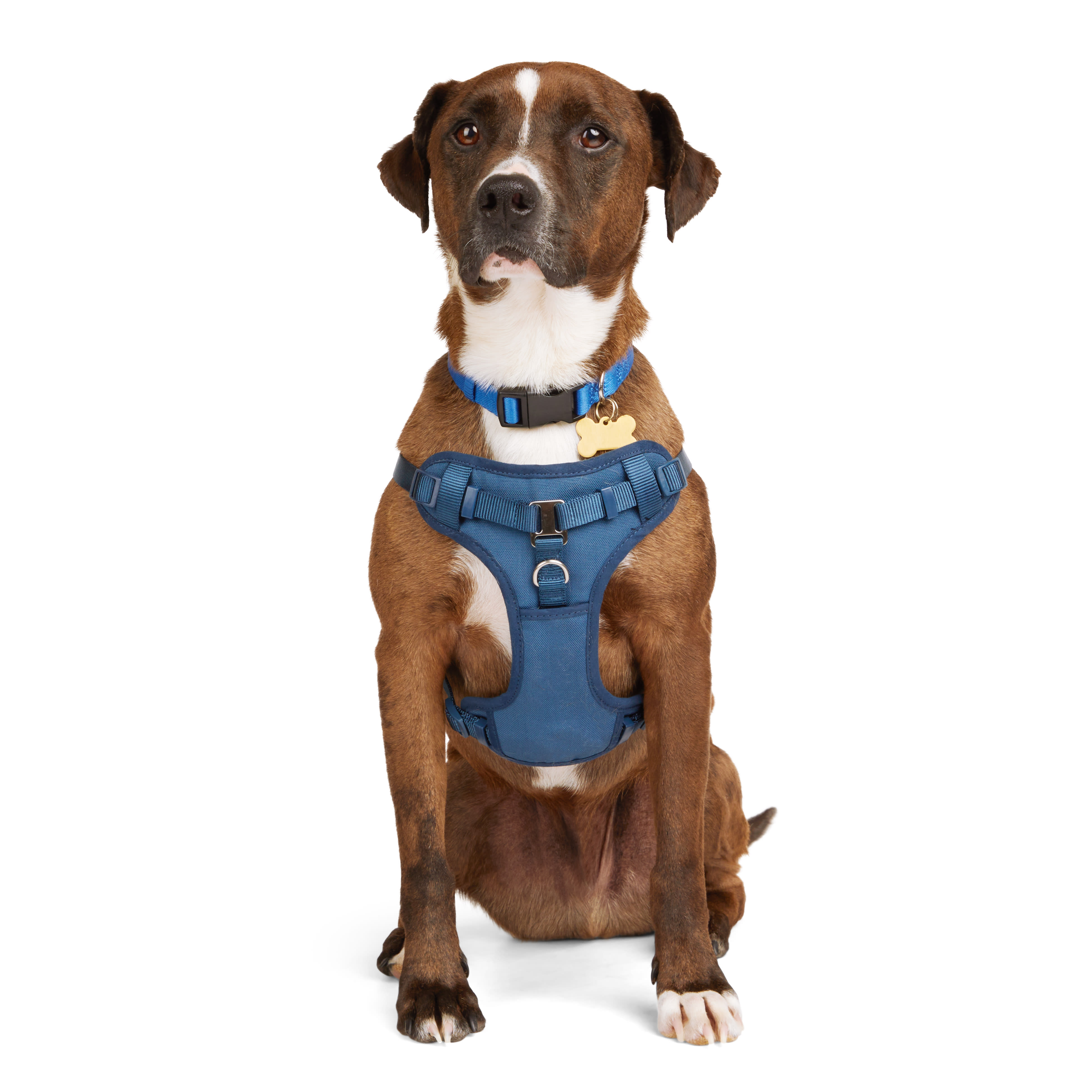 YOULY The Champion Navy Padded Step In Dog Harness X Small Petco