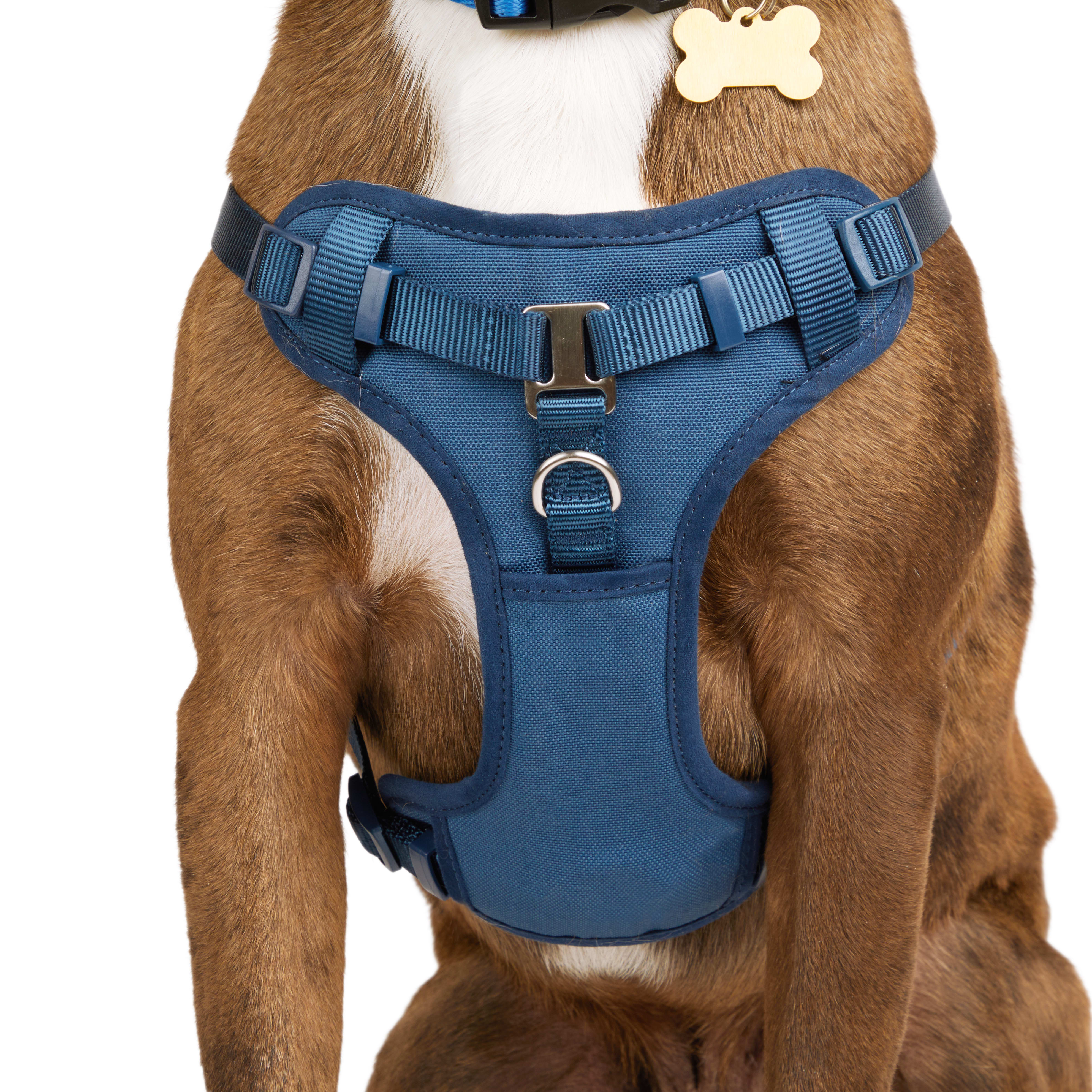 Pet champion clearance dog harness