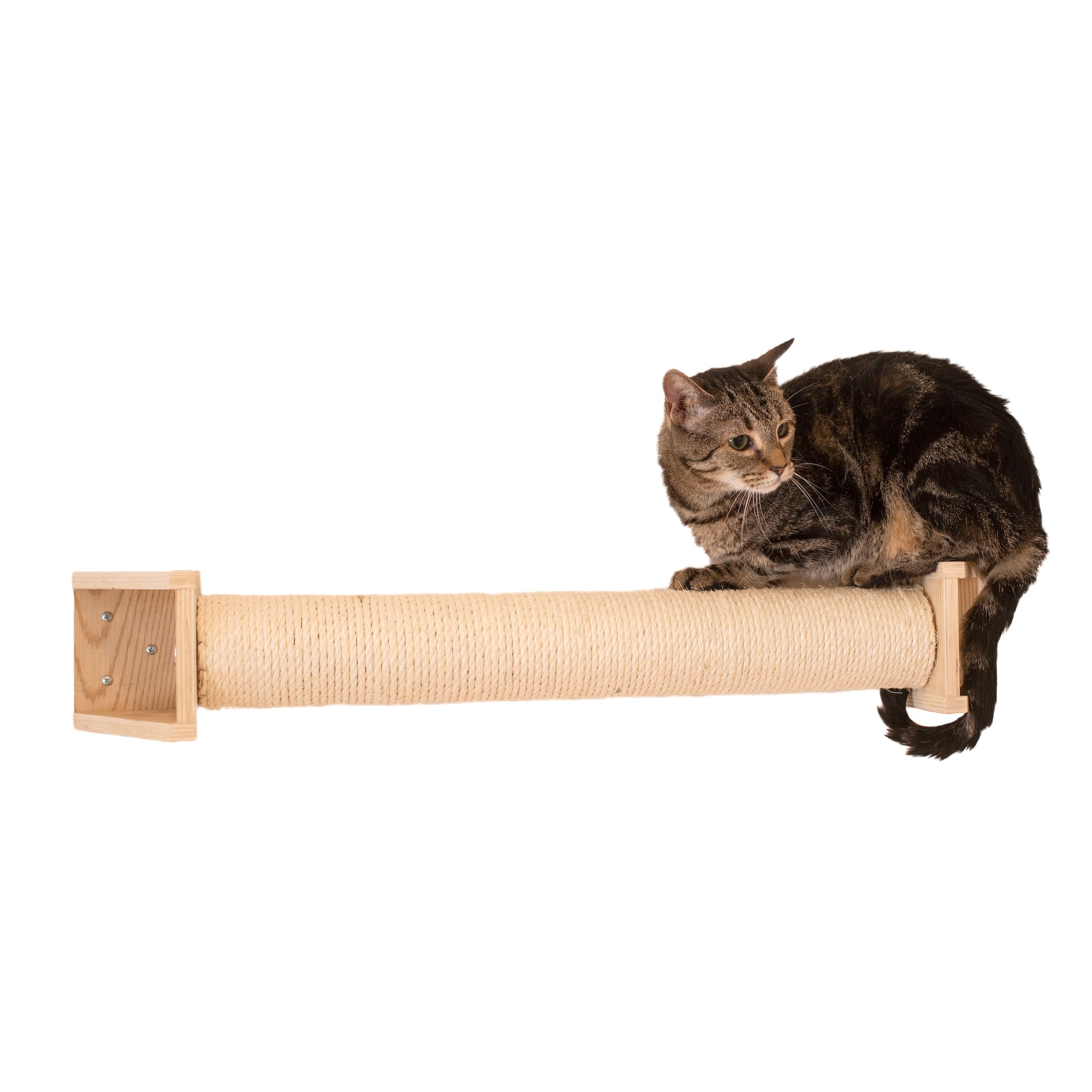 Wall mounted outlet scratching post