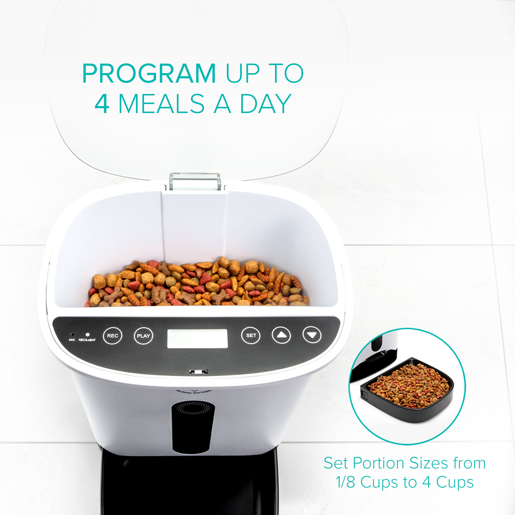 Automatic dog feeder petco sale