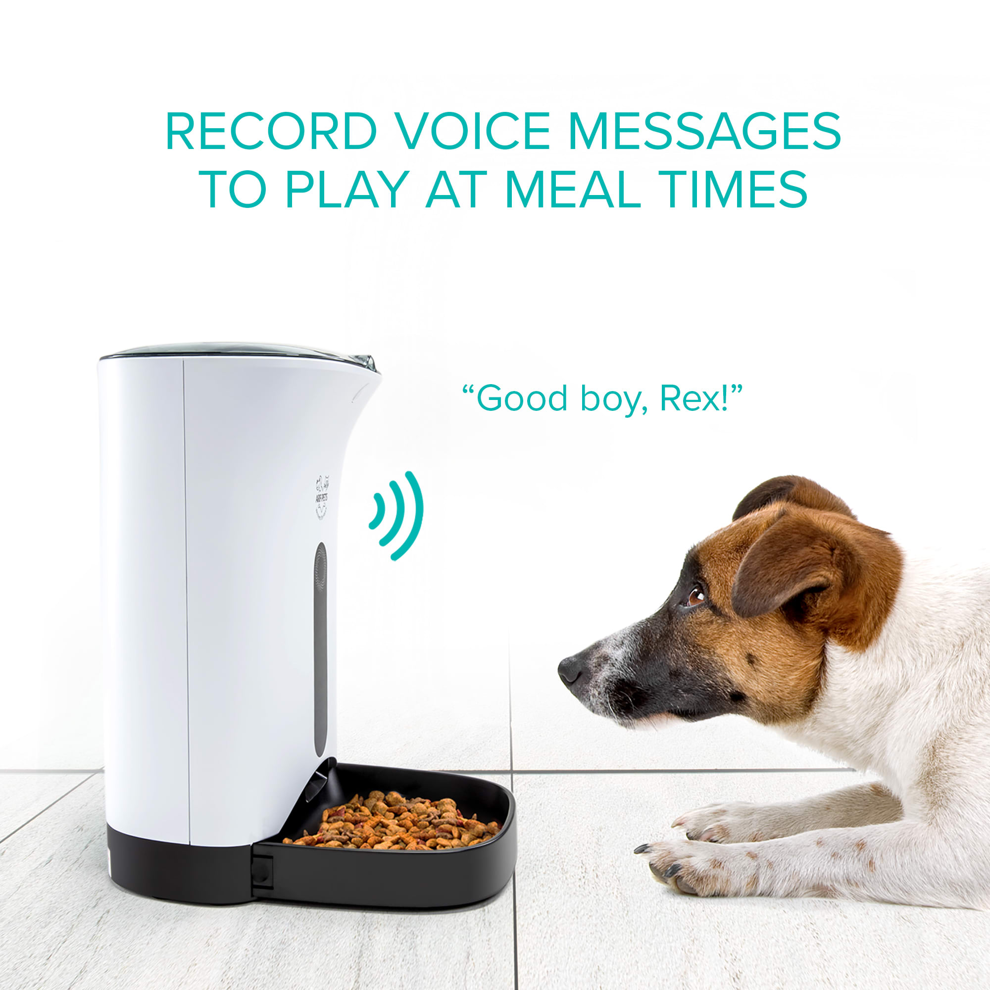 Arf Pets Automatic Pet Feeder Food Dispenser