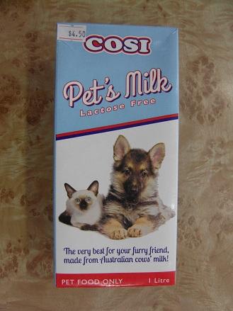 can cats have dairy - trendsmask.com