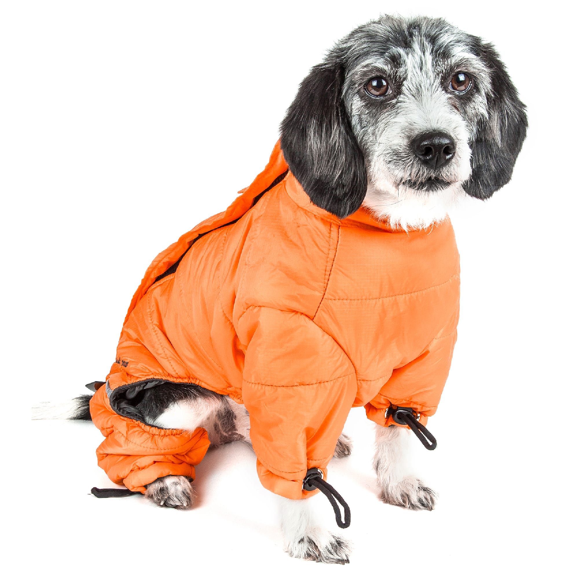 pet thunder jacket