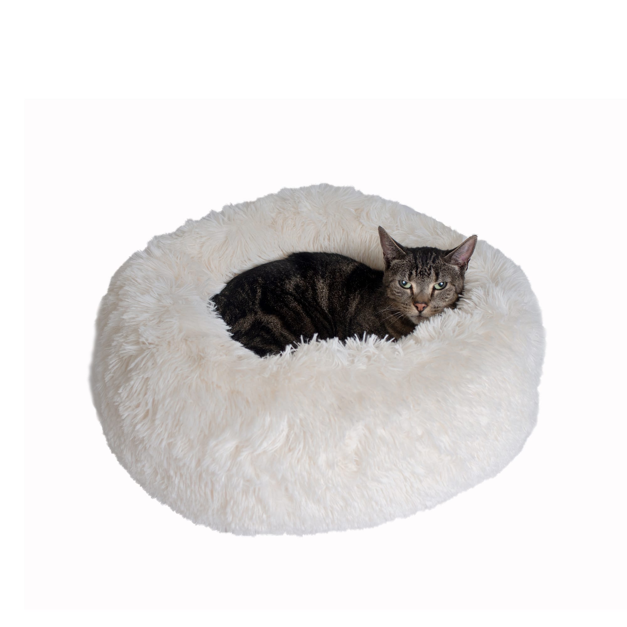 XXL & XXXL Dog Pets Pillow Bed Best for Small Cat & Kittens Medium Paws & Pals Pet Beds for Dogs and Cats 2019 Newly Designed Indestructible Cuddler Couch Washable Accessories XL Puppy Large 