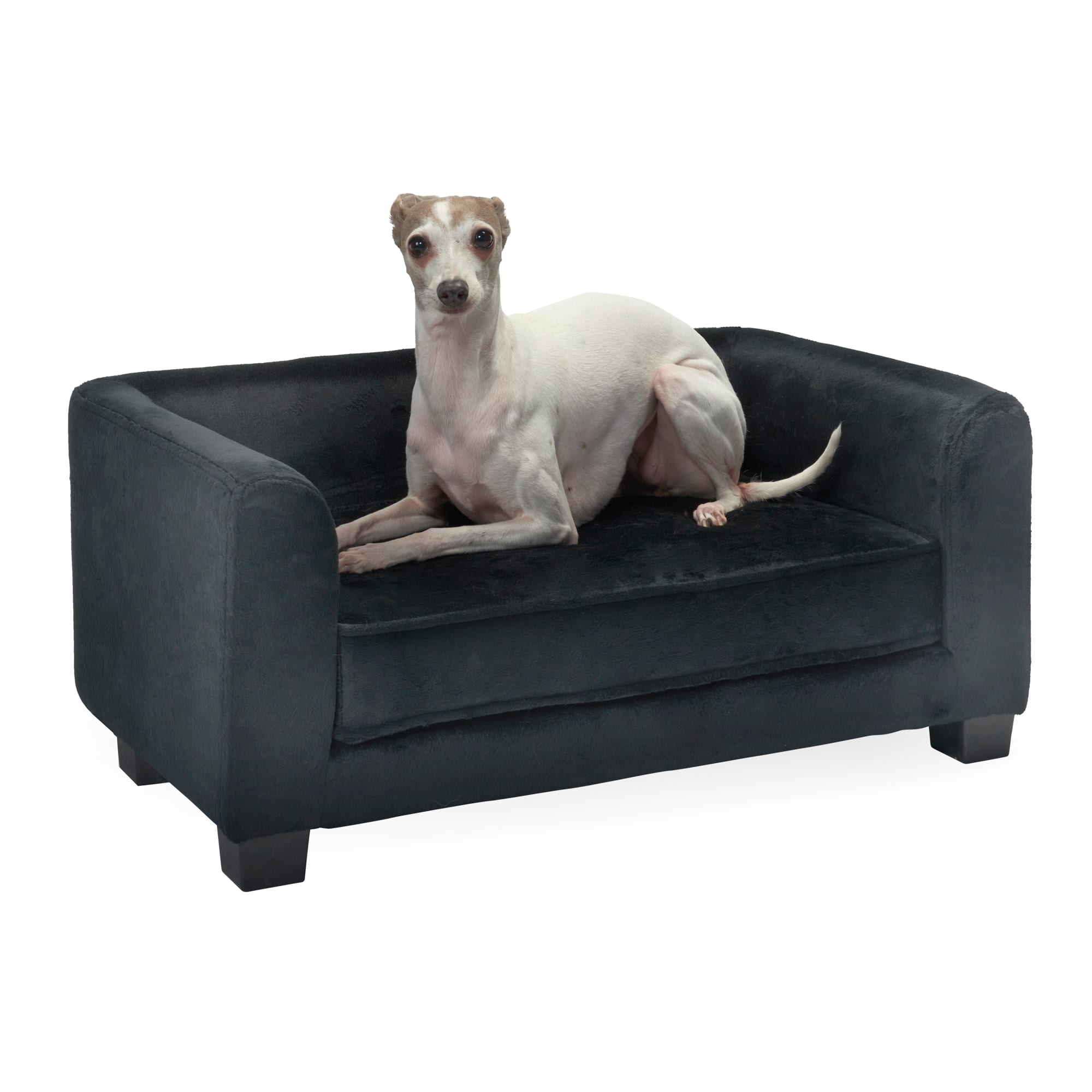 Black 2025 dog sofa