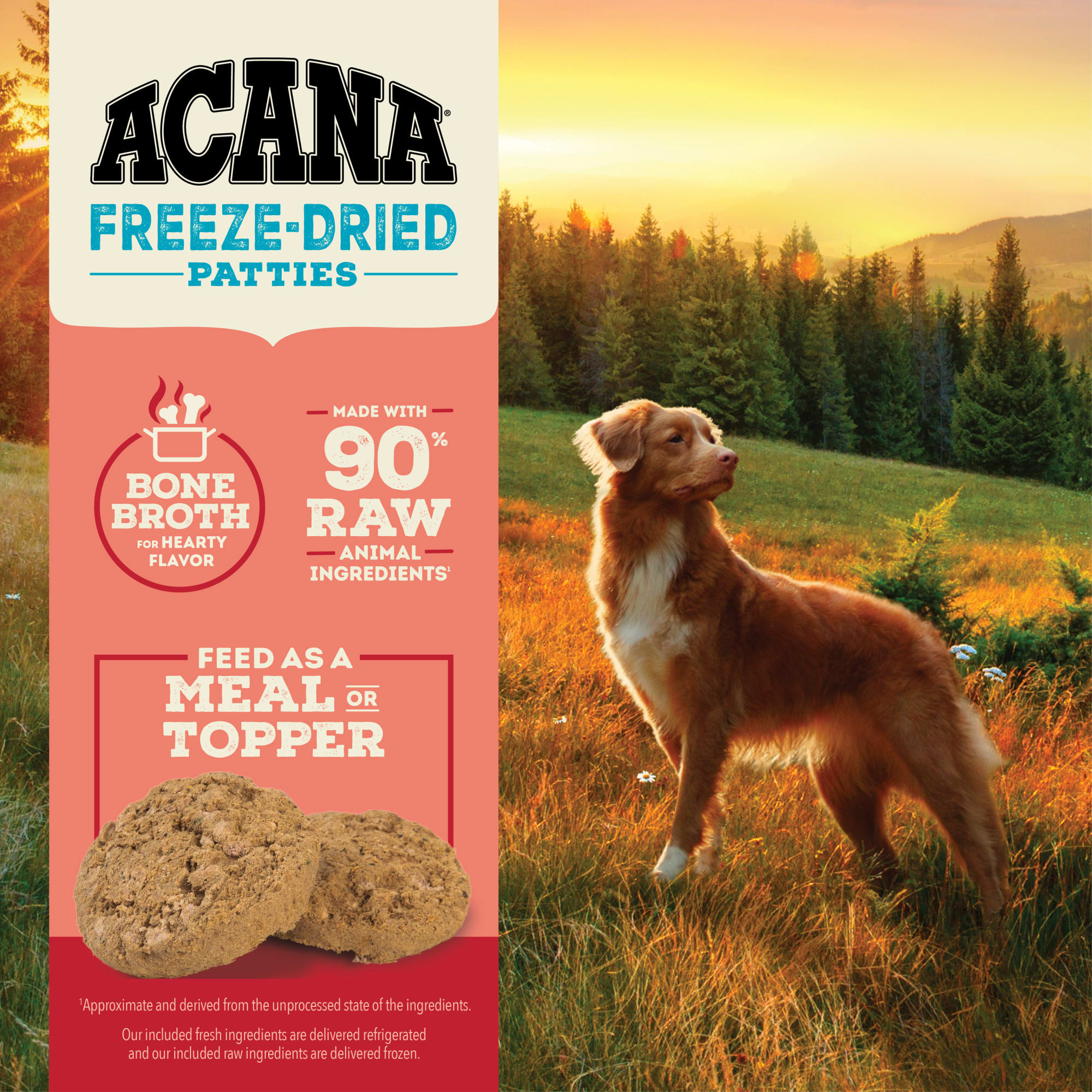 rachael ray grain free dog food Rachael Ray Nutrish PEAK Natural Dry Dog Food with Freeze Dried Raw Bi