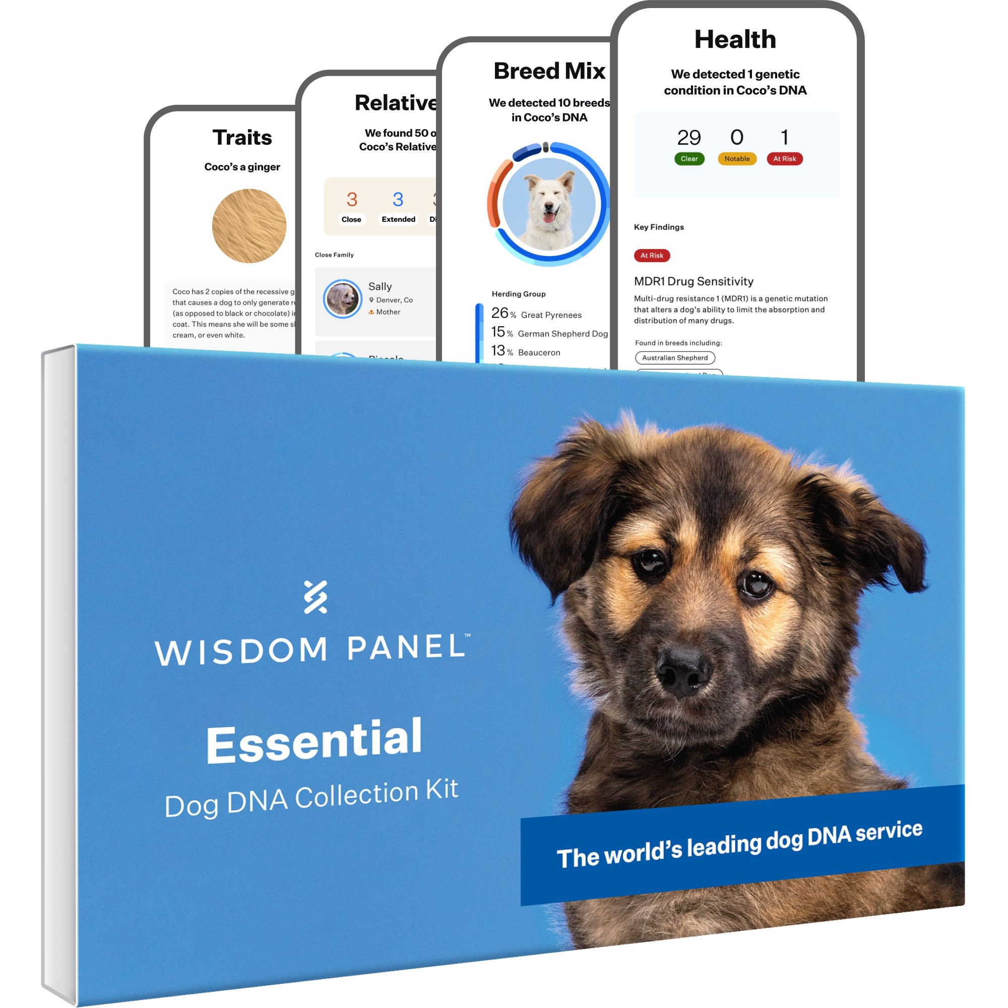 Wisdom Panel Essential Dog DNA Test Kit Petco