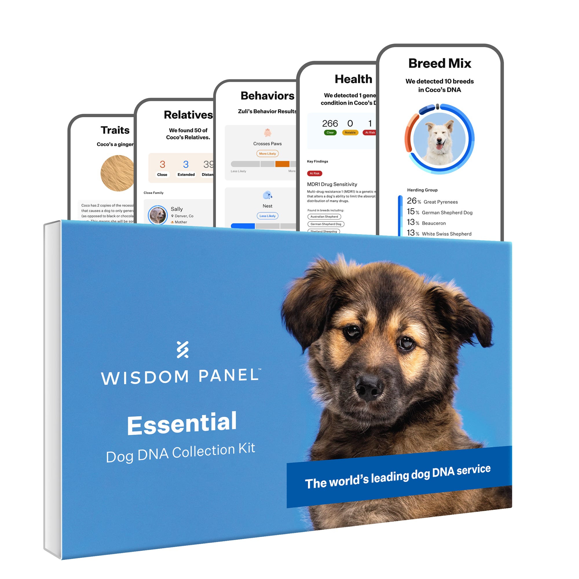 Wisdom Panel Essential for Ancestry Traits Dog DNA Test