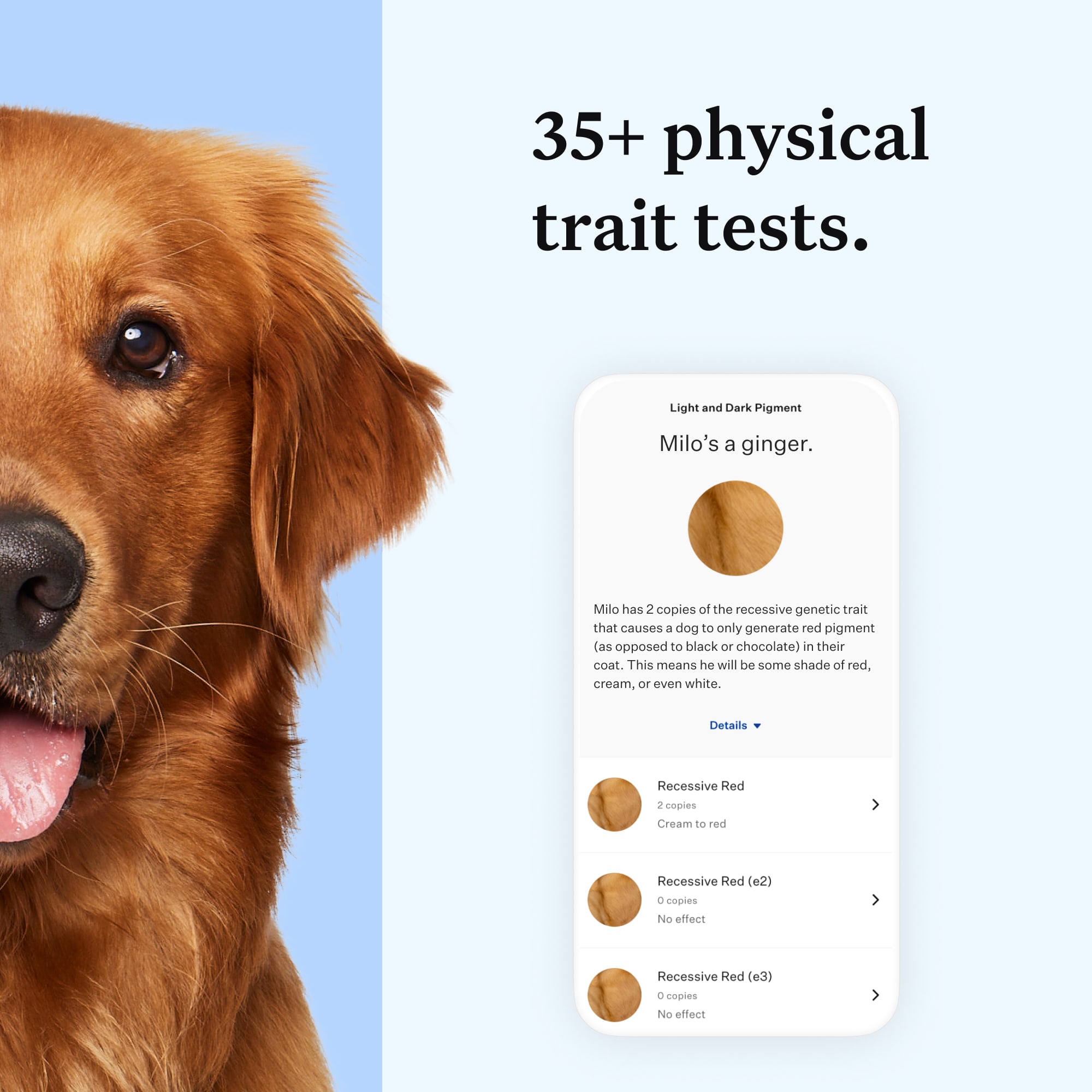 Petco best sale dna test