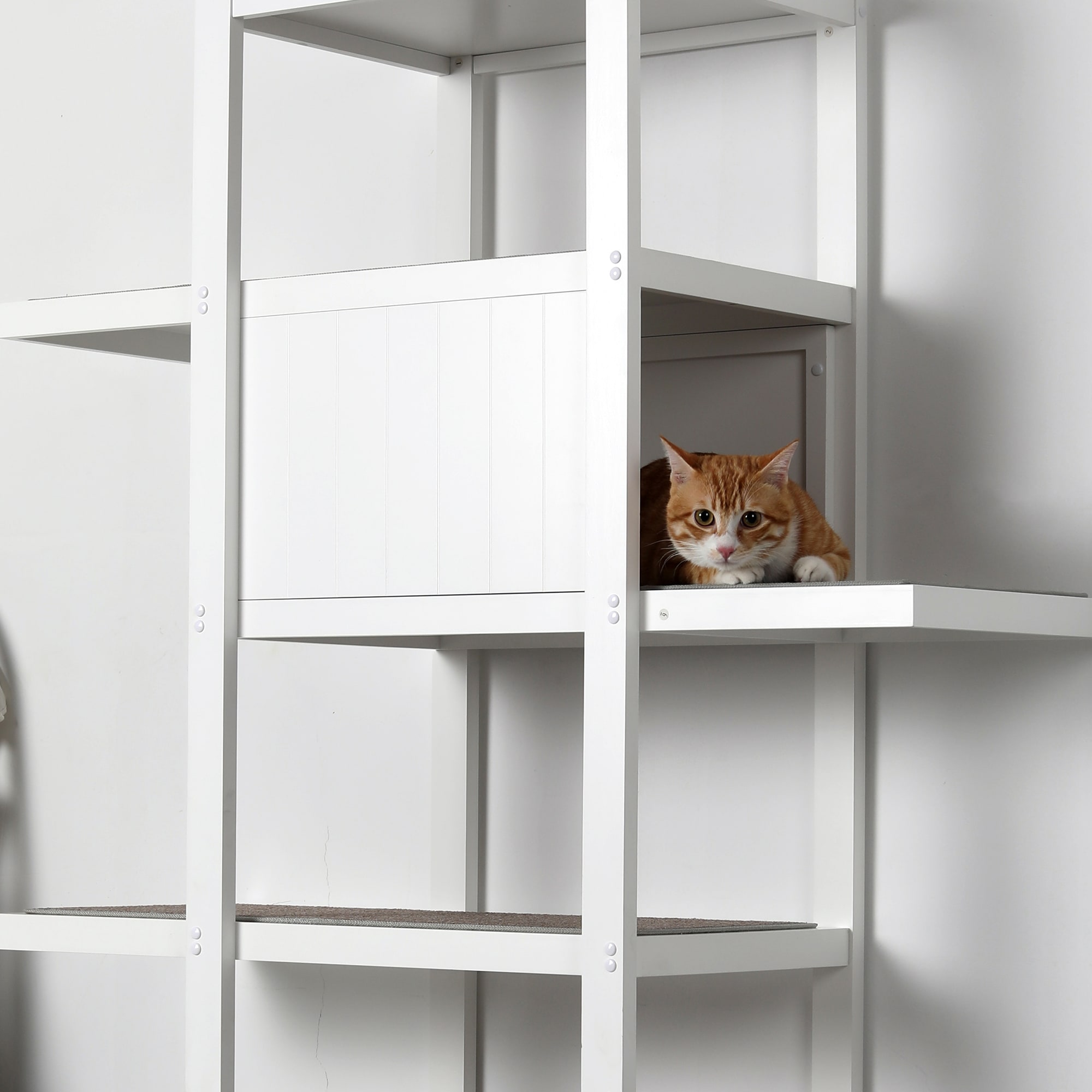 Bookshelf shop cat tree