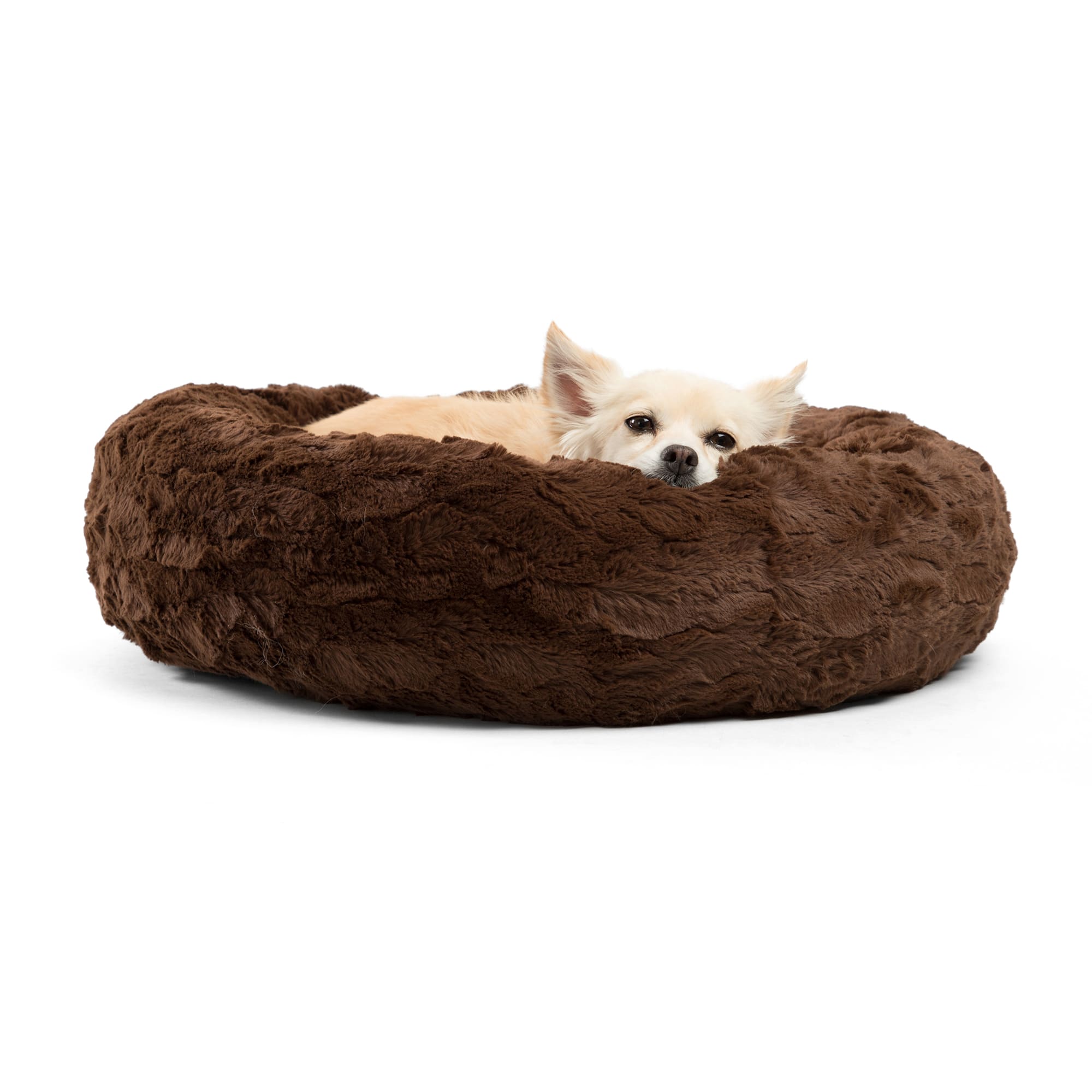 https://assets.petco.com/petco/image/upload/f_auto,q_auto/3309898-center-1