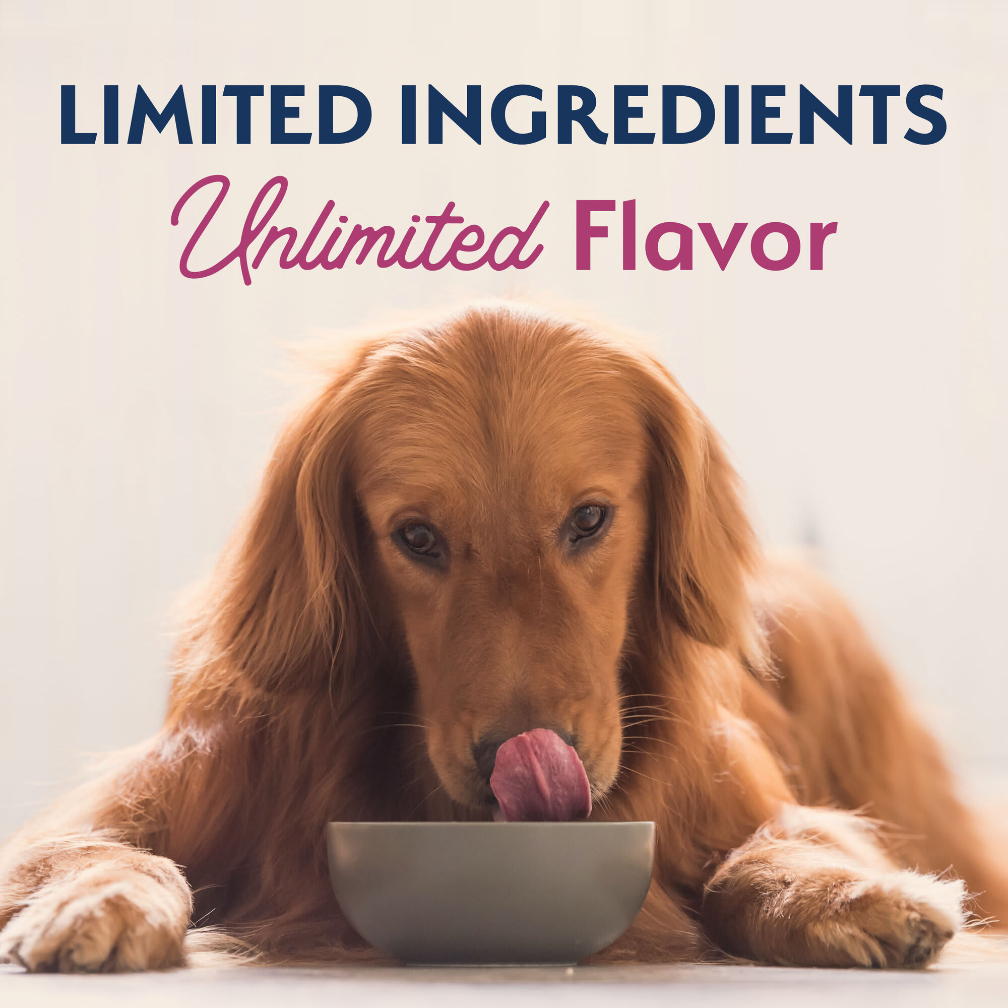 Natural Balance Limited Ingredient Adult Grain Free Dry Dog Food