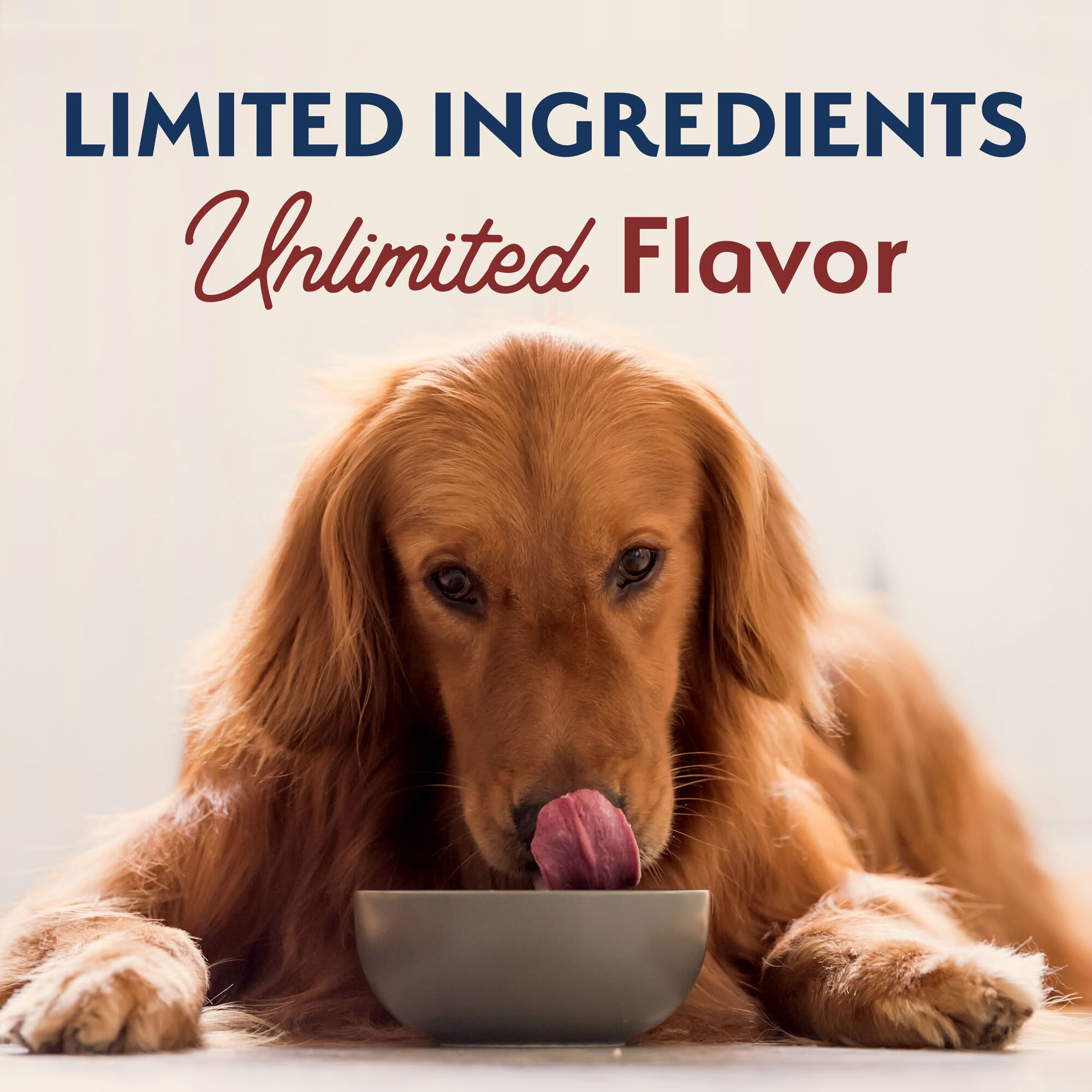 Natural Balance Limited Ingredient Adult Dry Dog Food with Healthy