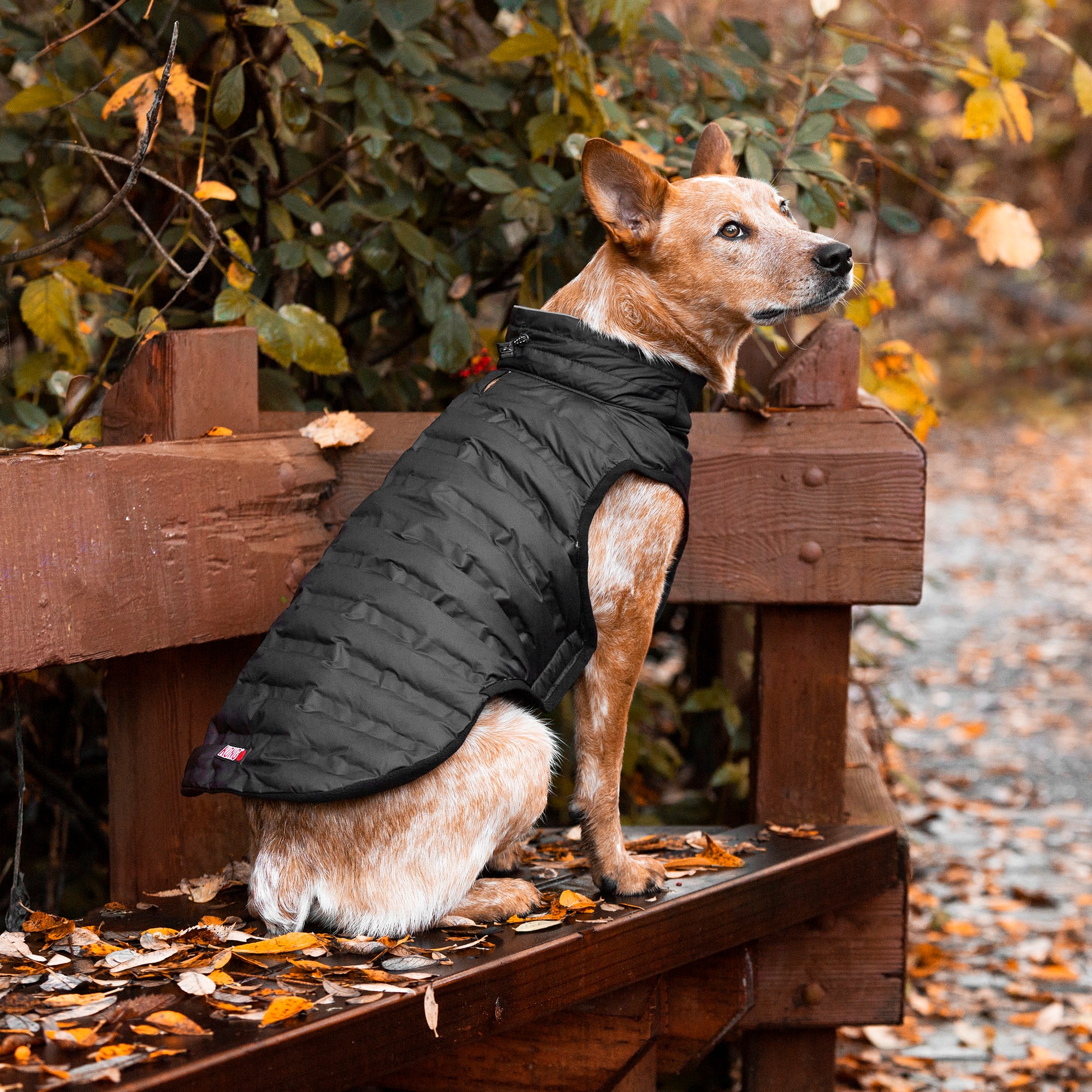 Kong thermal sale lined puffer coat