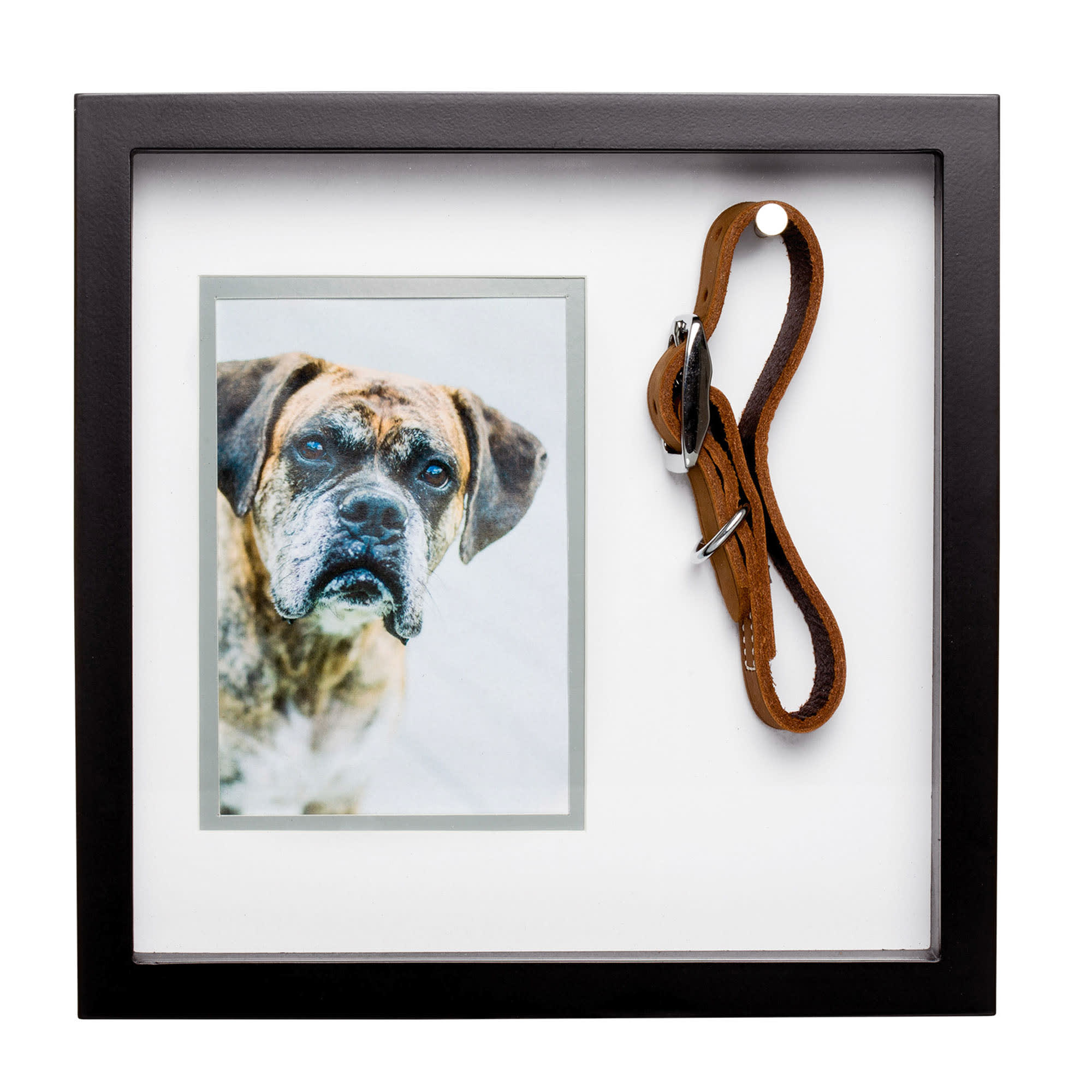 Dog collar memorial clearance frame