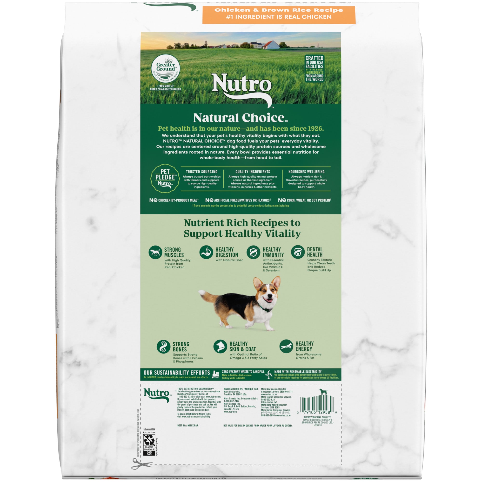 Nutro small hot sale breed chicken