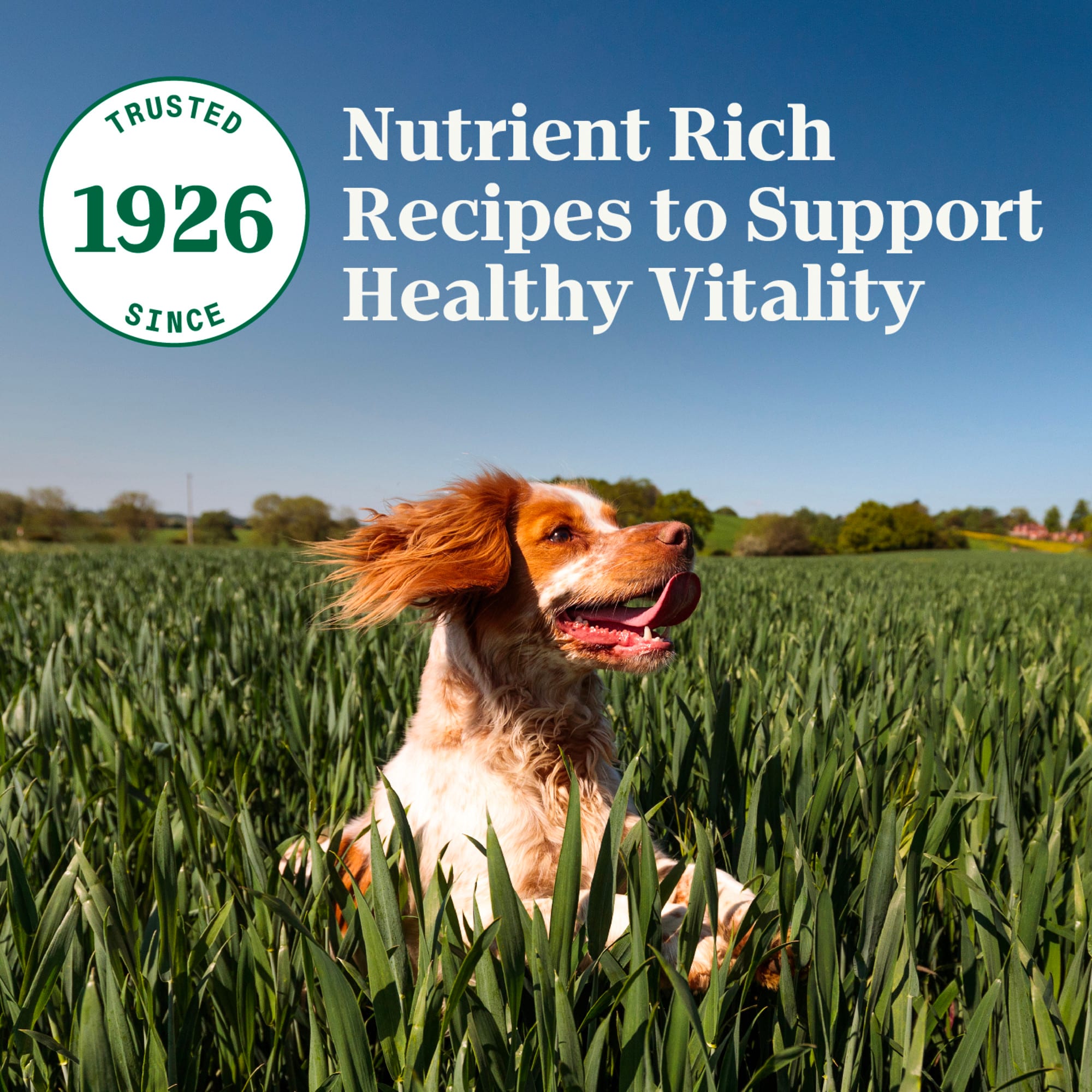 NUTRO NATURAL CHOICE Small Breed Adult Dry Dog Food Chicken