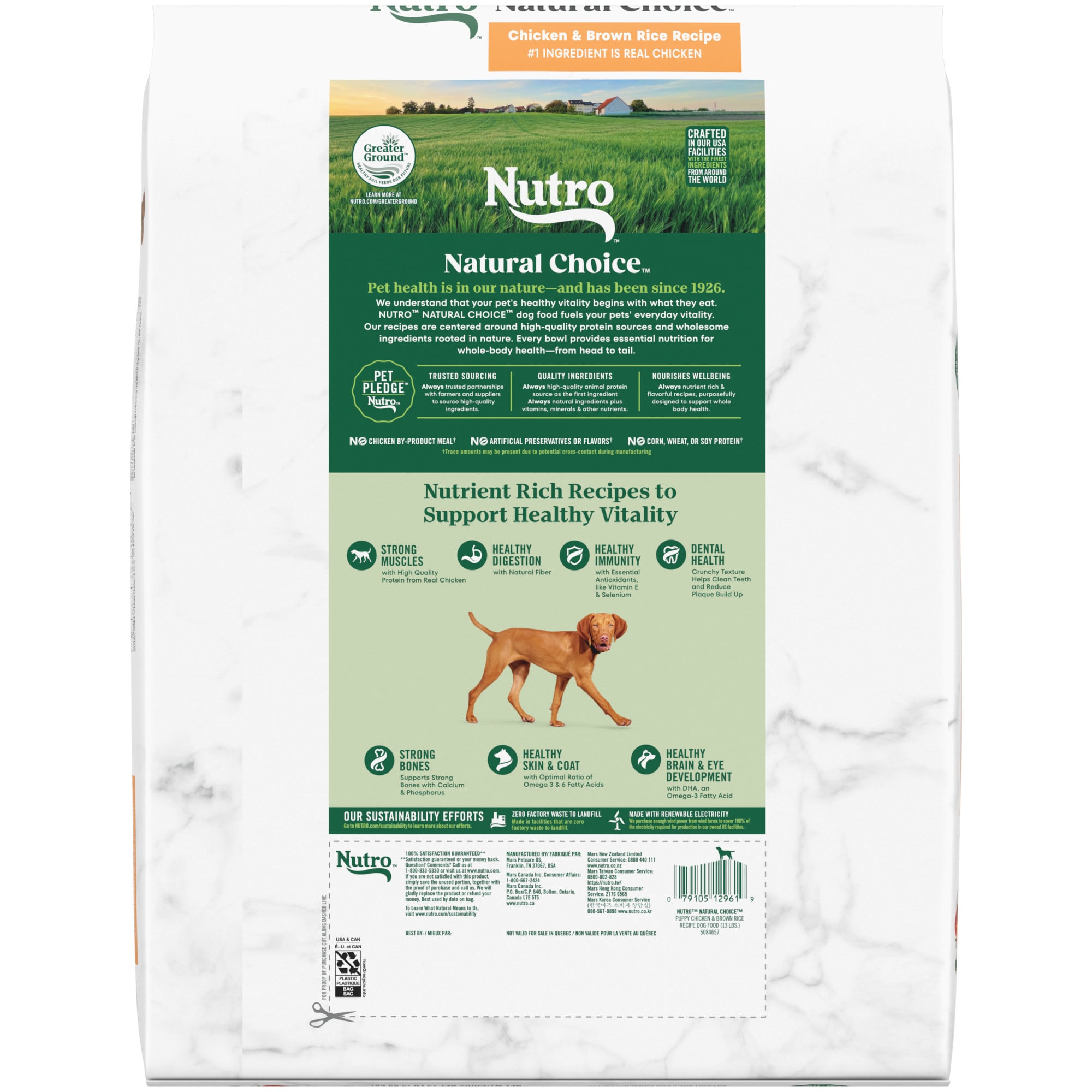 Nutro clearance puppy food