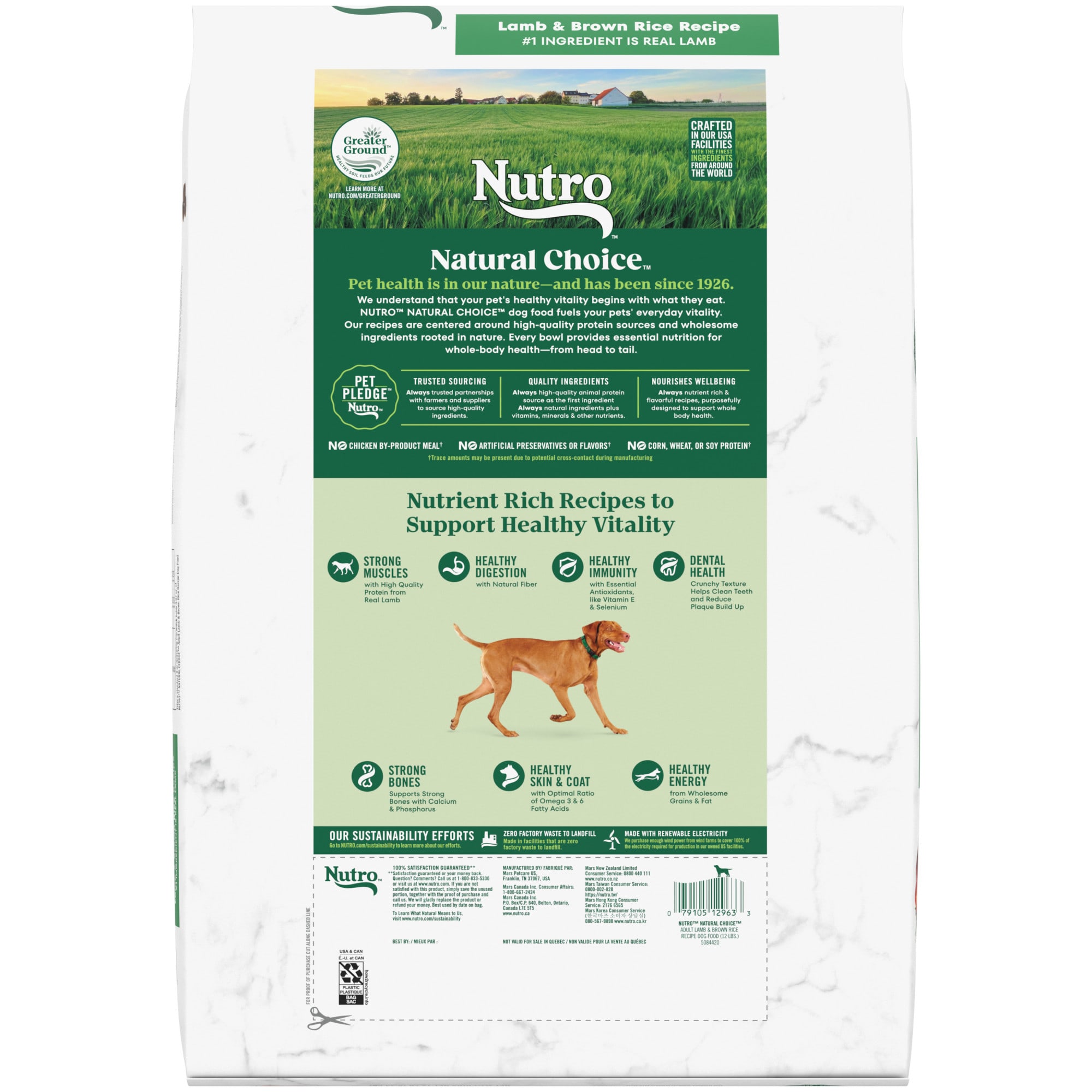 Nutro lamb best sale