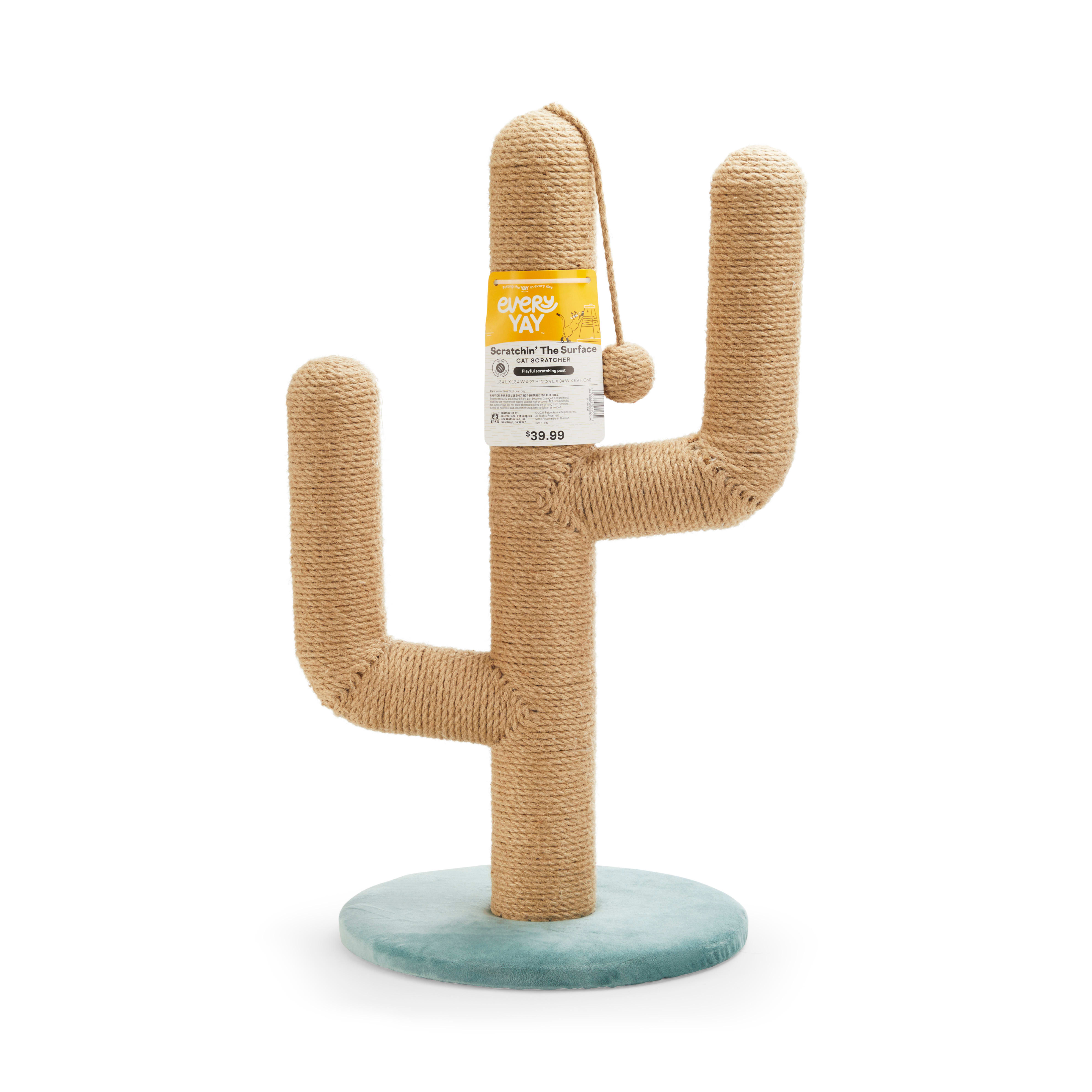 Cactus cat 2025 scratching post