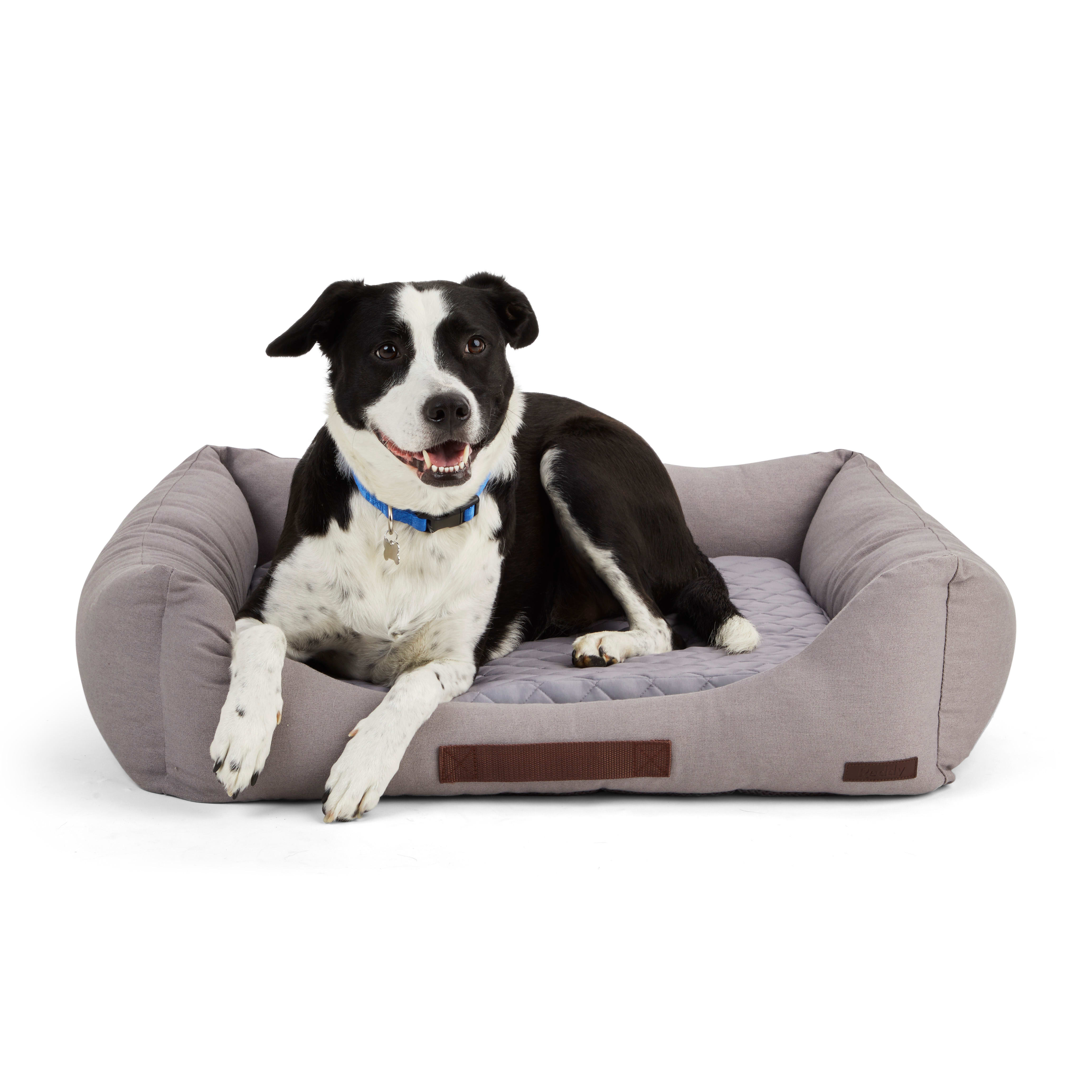 Really cool dog store beds