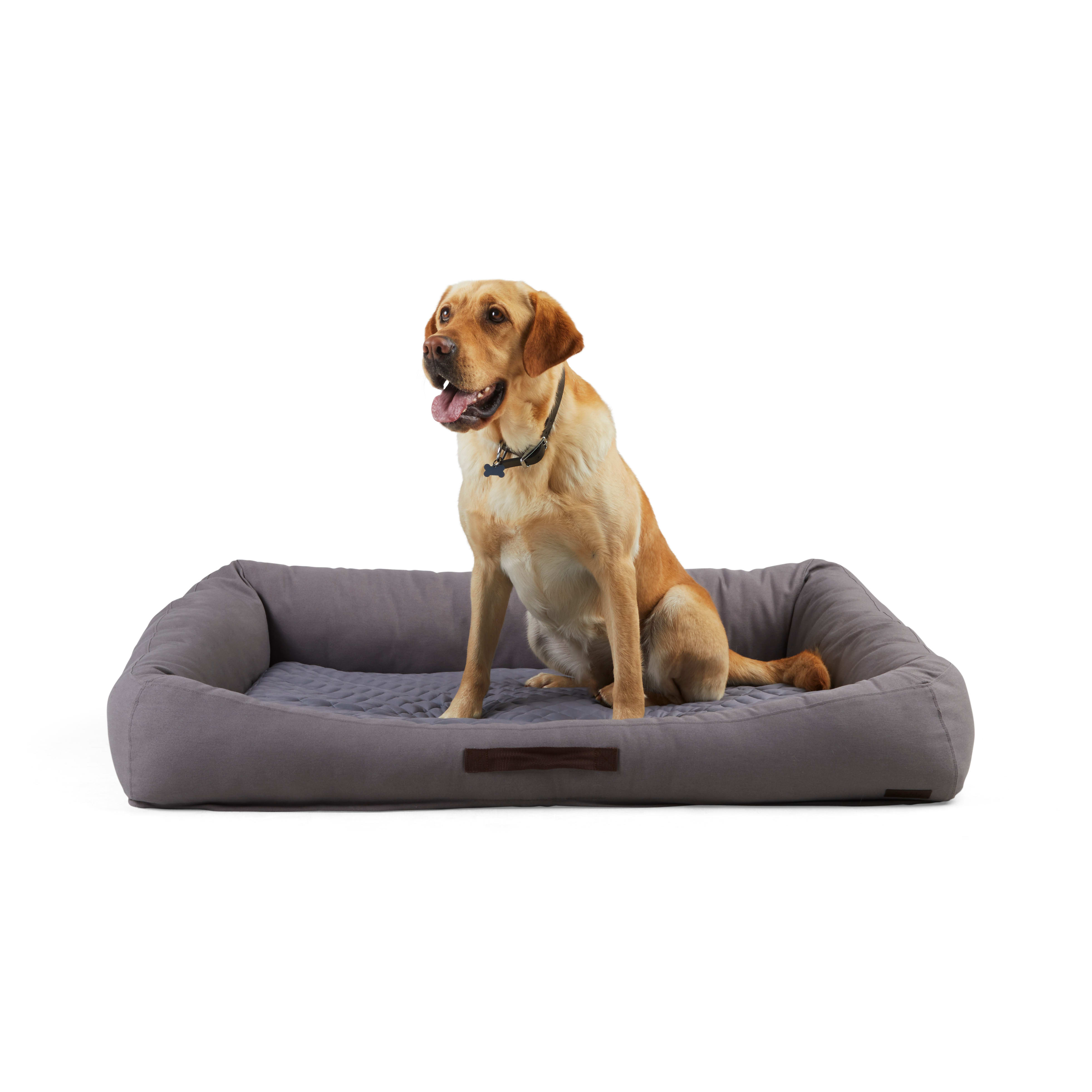 The 17 Best Durable Dog Beds - The Dog Guide San Antonio