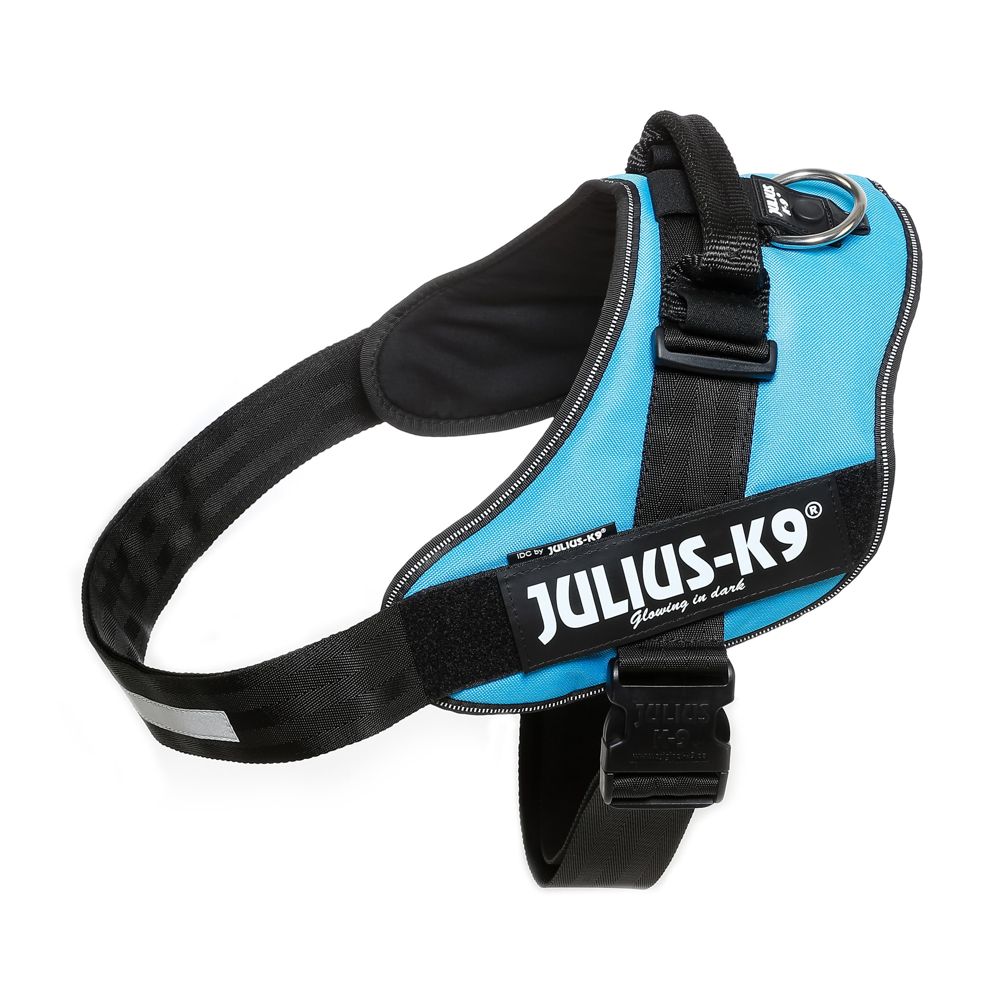 Julius-K9 Harnesses, collars and others - , Small dog race -  Papillon