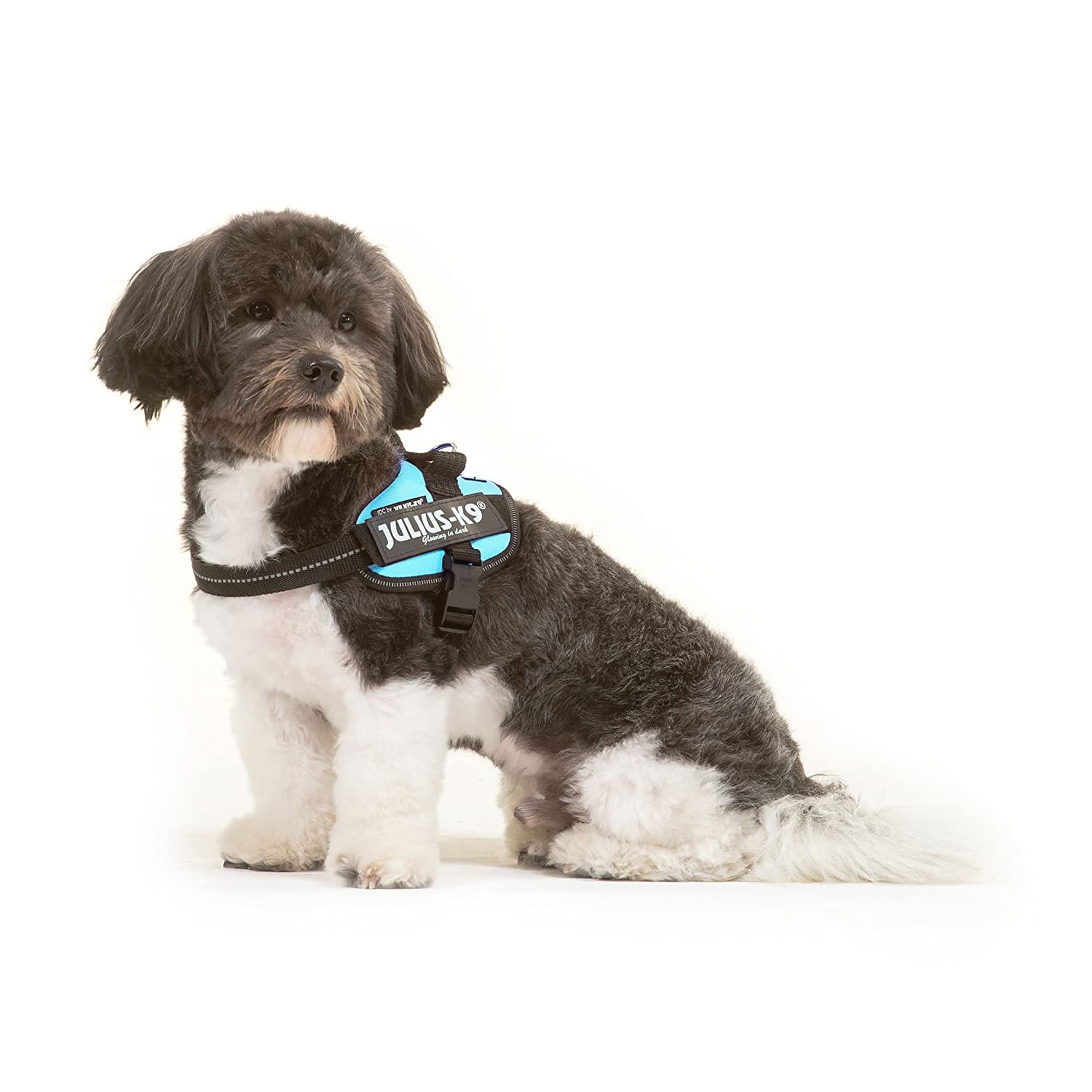 Julius K9 Aquamarine Dog Harness 3X Small Petco