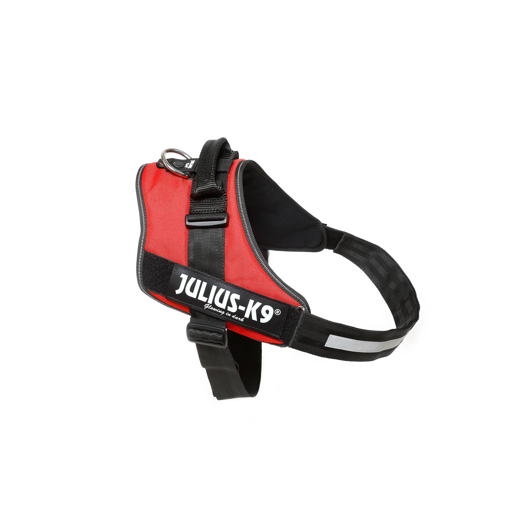 Julius k9 2024 harness red