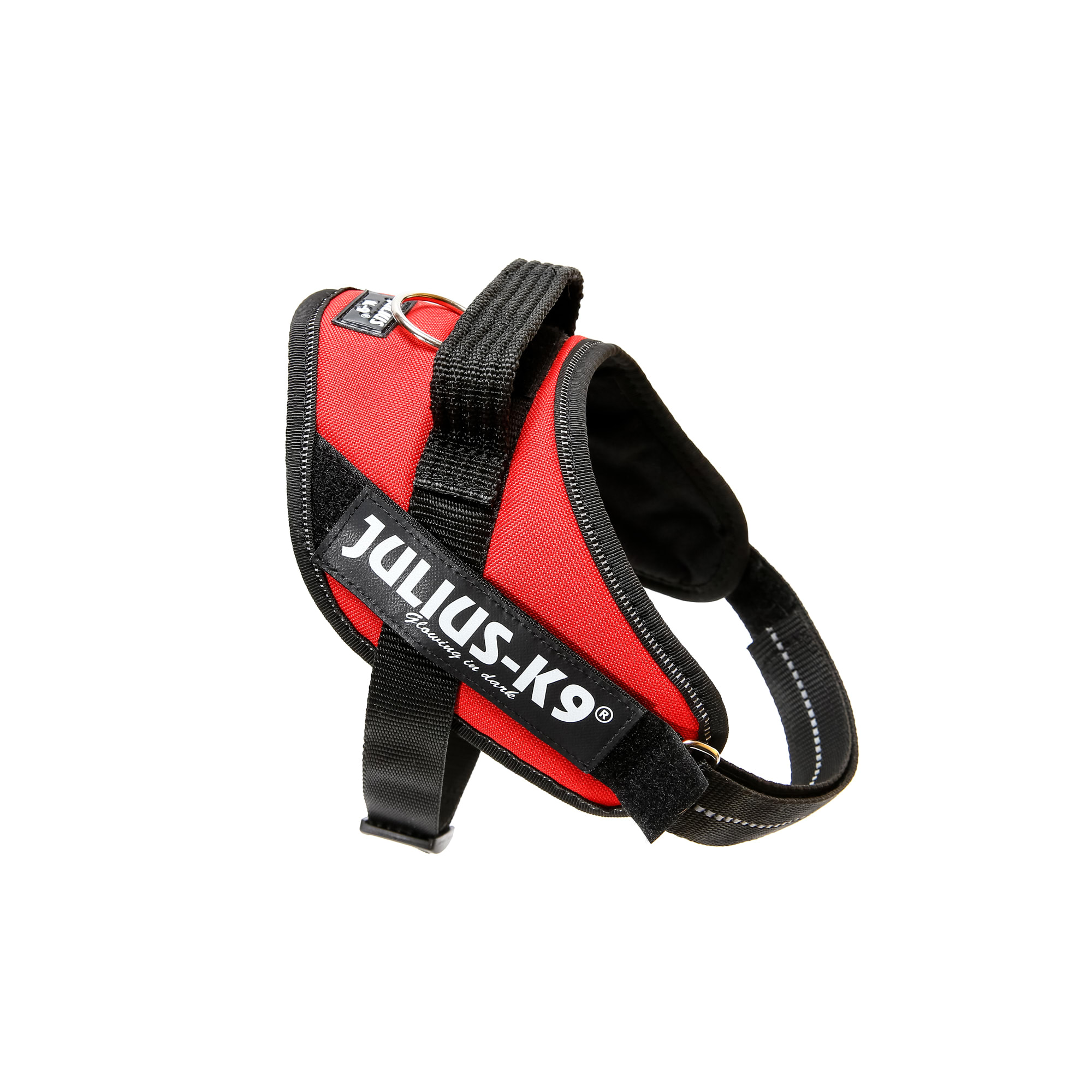 Julius k9 outlet mini harness