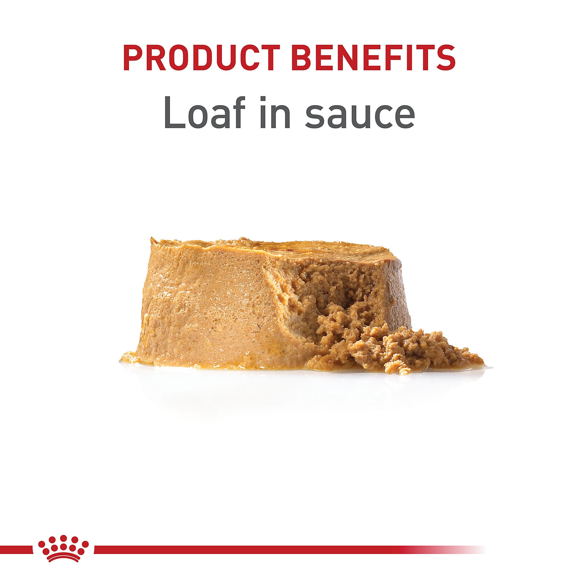 Royal canin puppy loaf in sauce hotsell