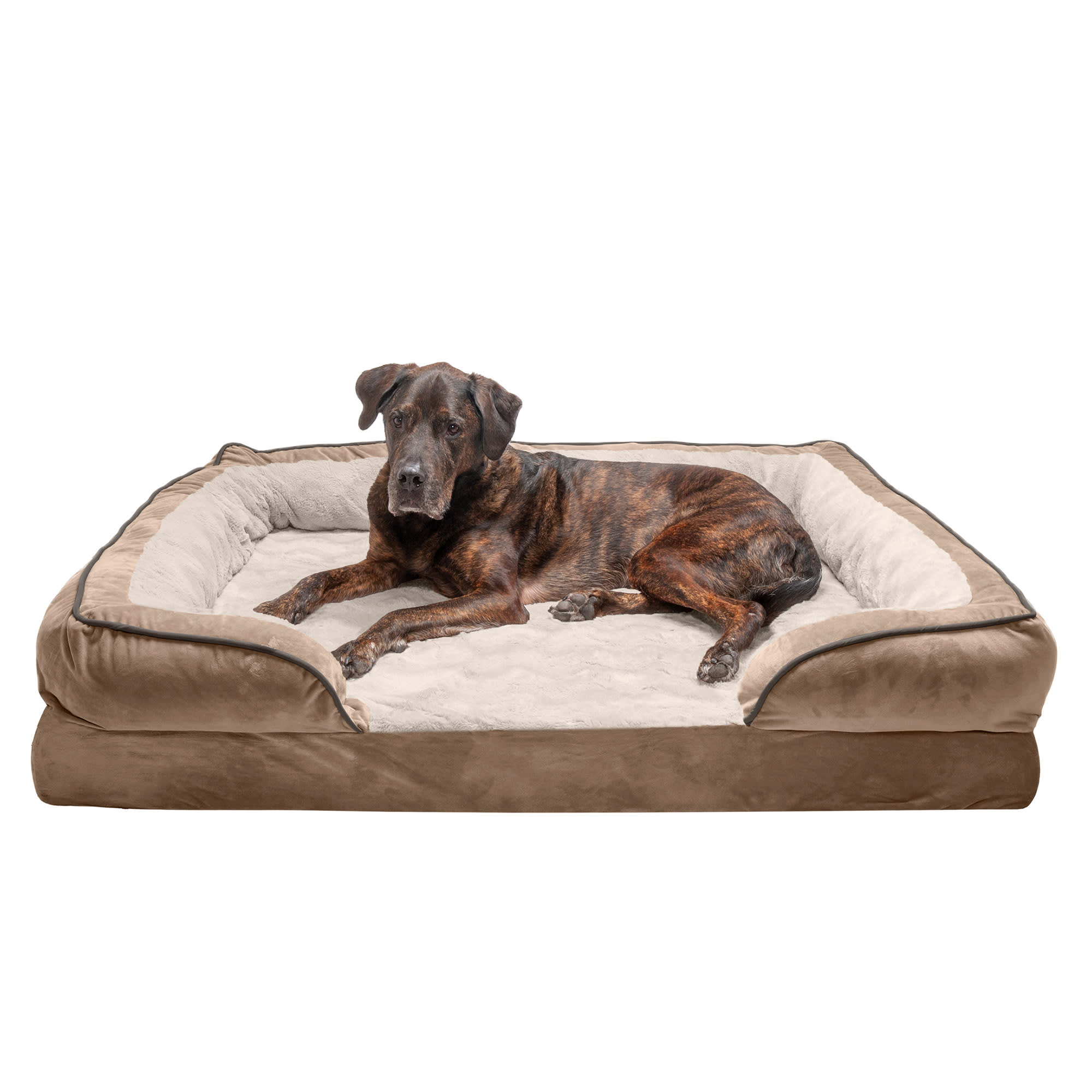 Foster smith dog clearance beds