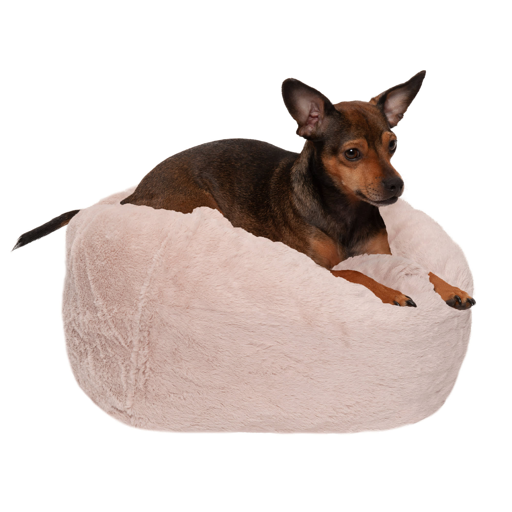 FurHaven Shell Round Plush Ball Pet Bed, 14.2" L X 14.2" W X 18" D Petco